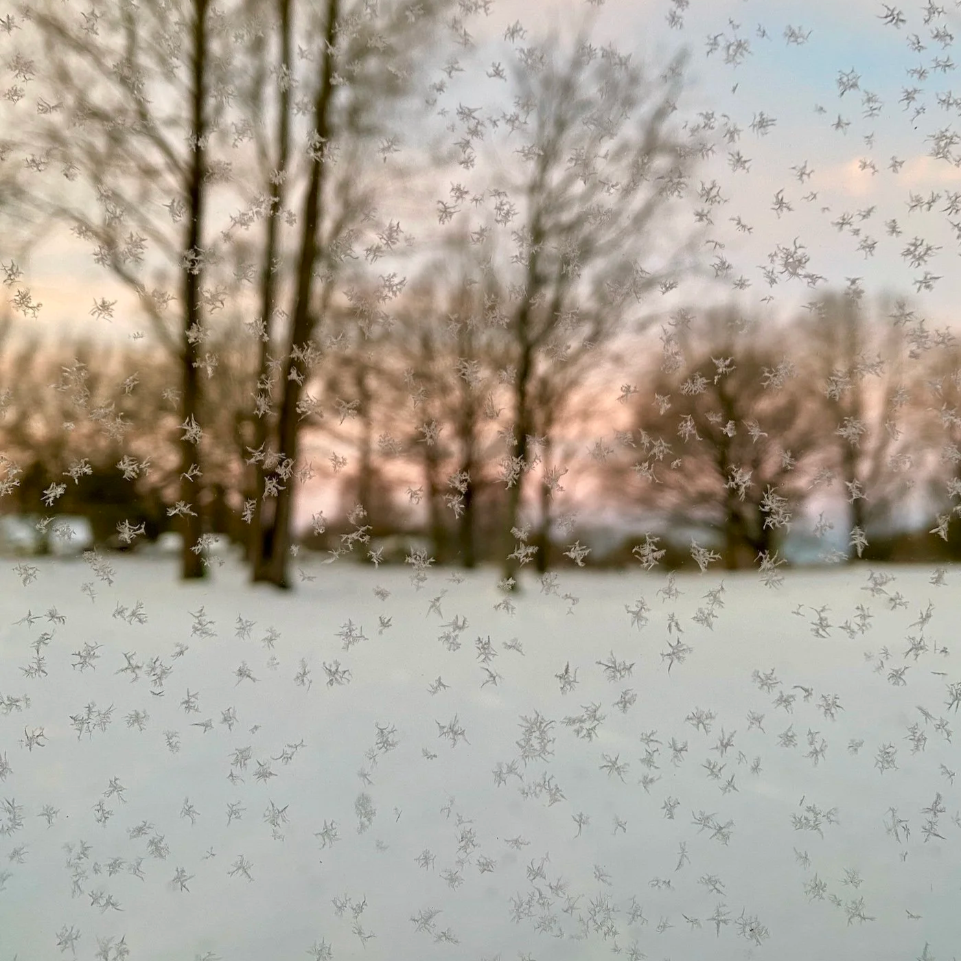 The Winter Bardo