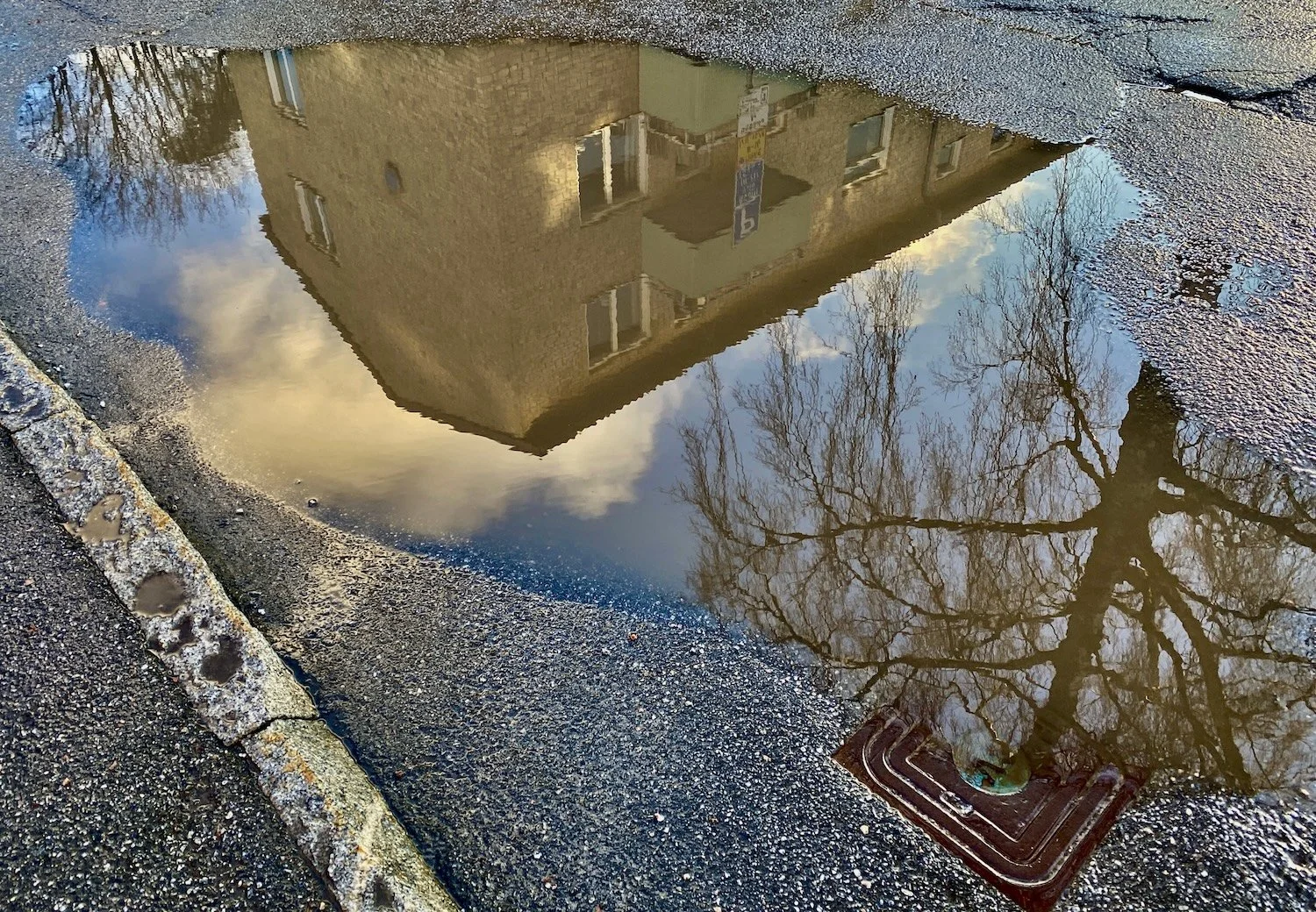 Mirror-Like Wisdom - A Day Retreat