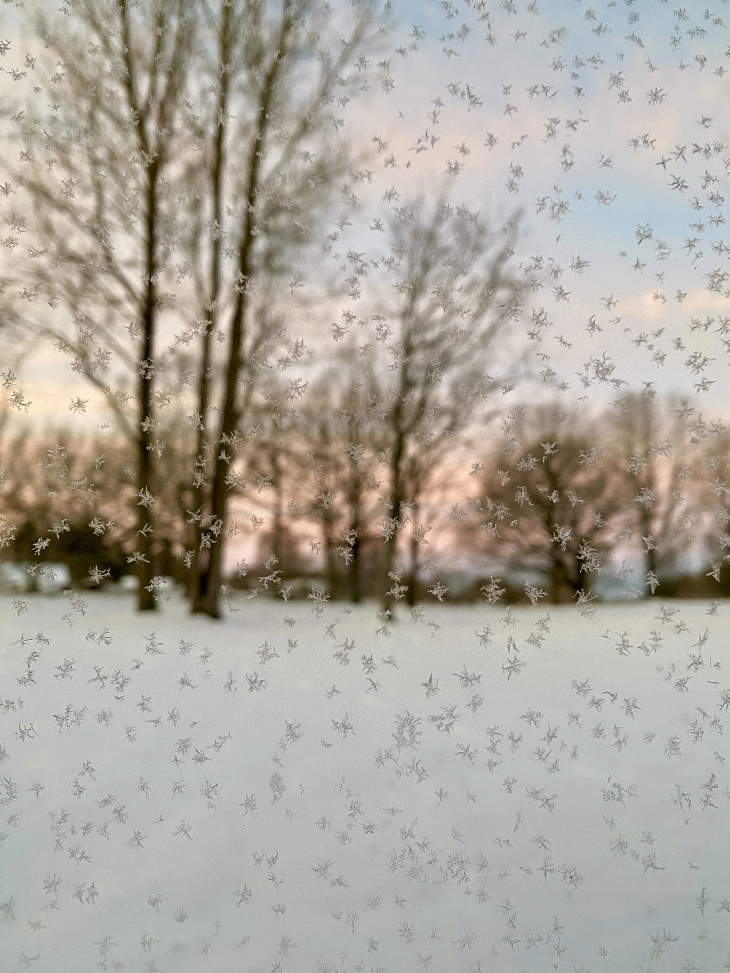 The Winter Bardo: Online Retreat Deposit