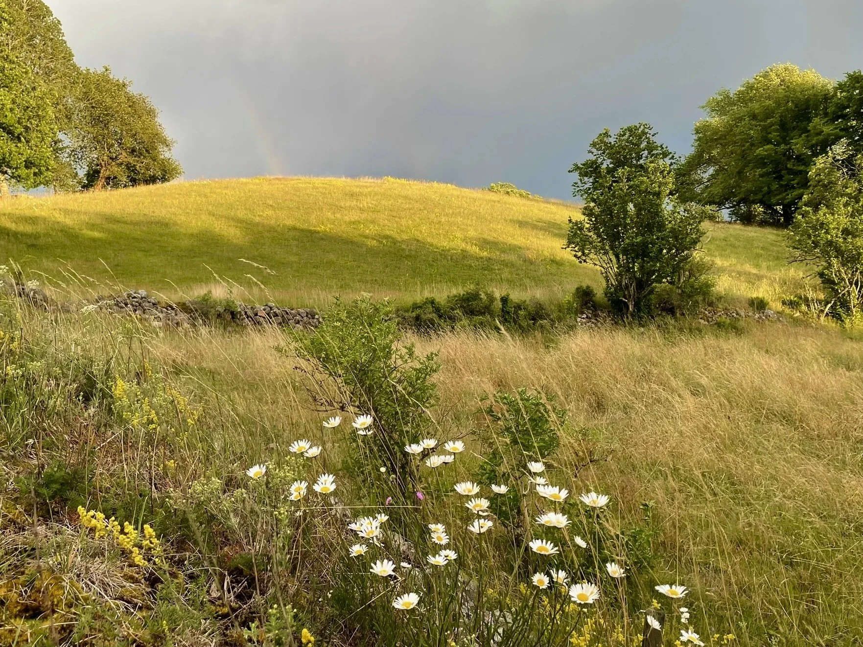 The Ten Fetters Retreat