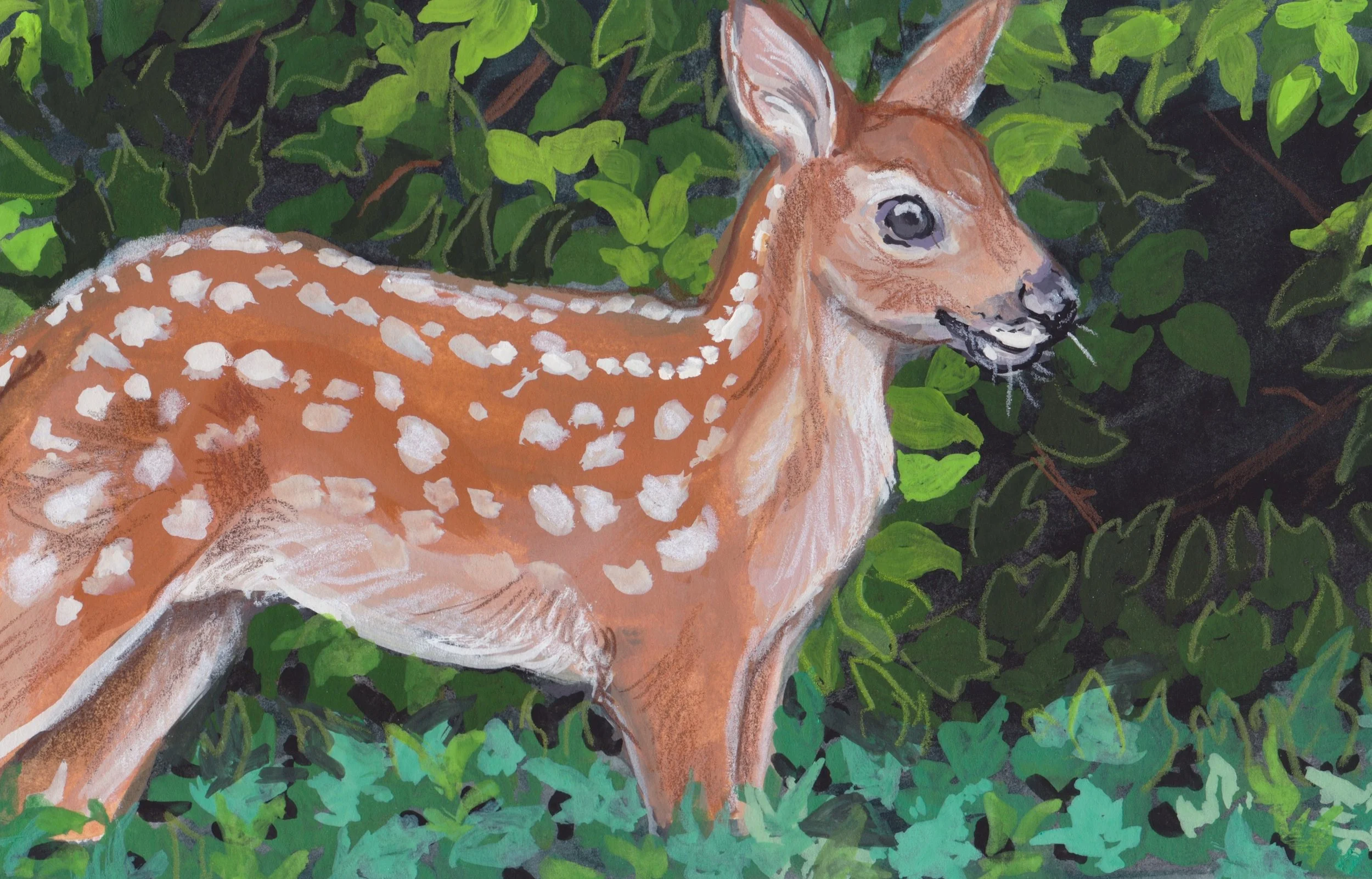 Fawn.JPEG