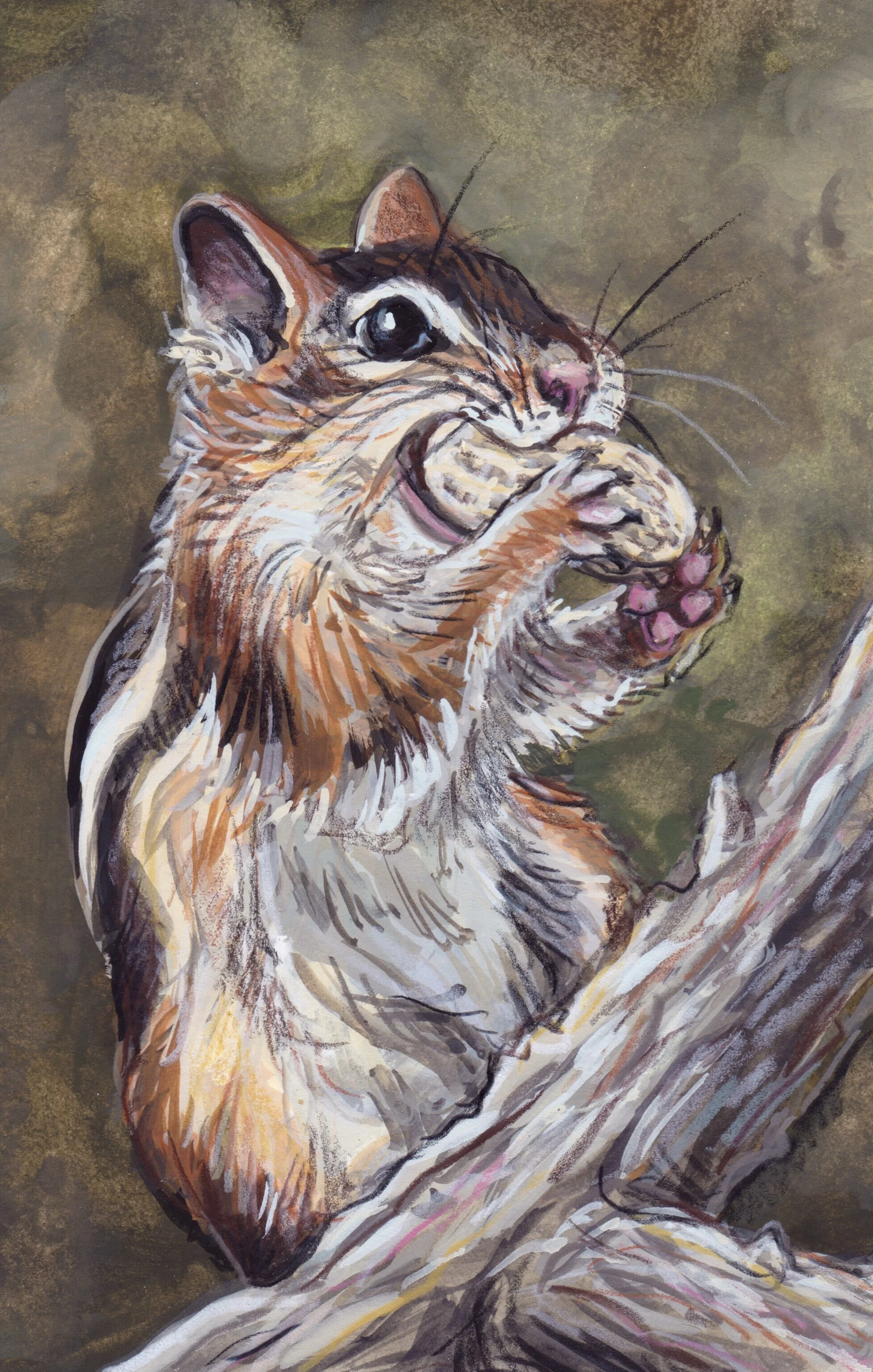 Chipmunk.jpg