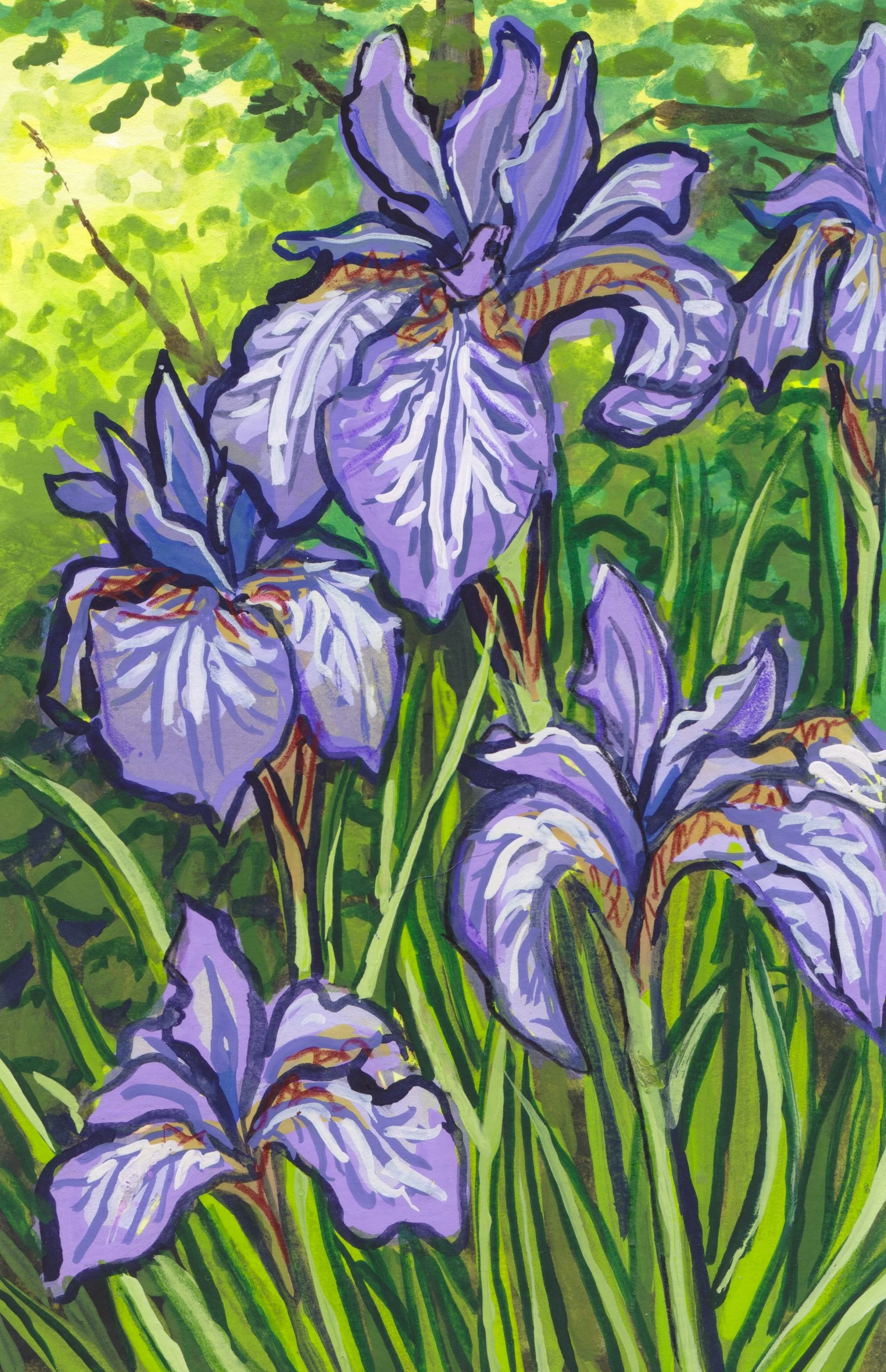 Irises.JPG