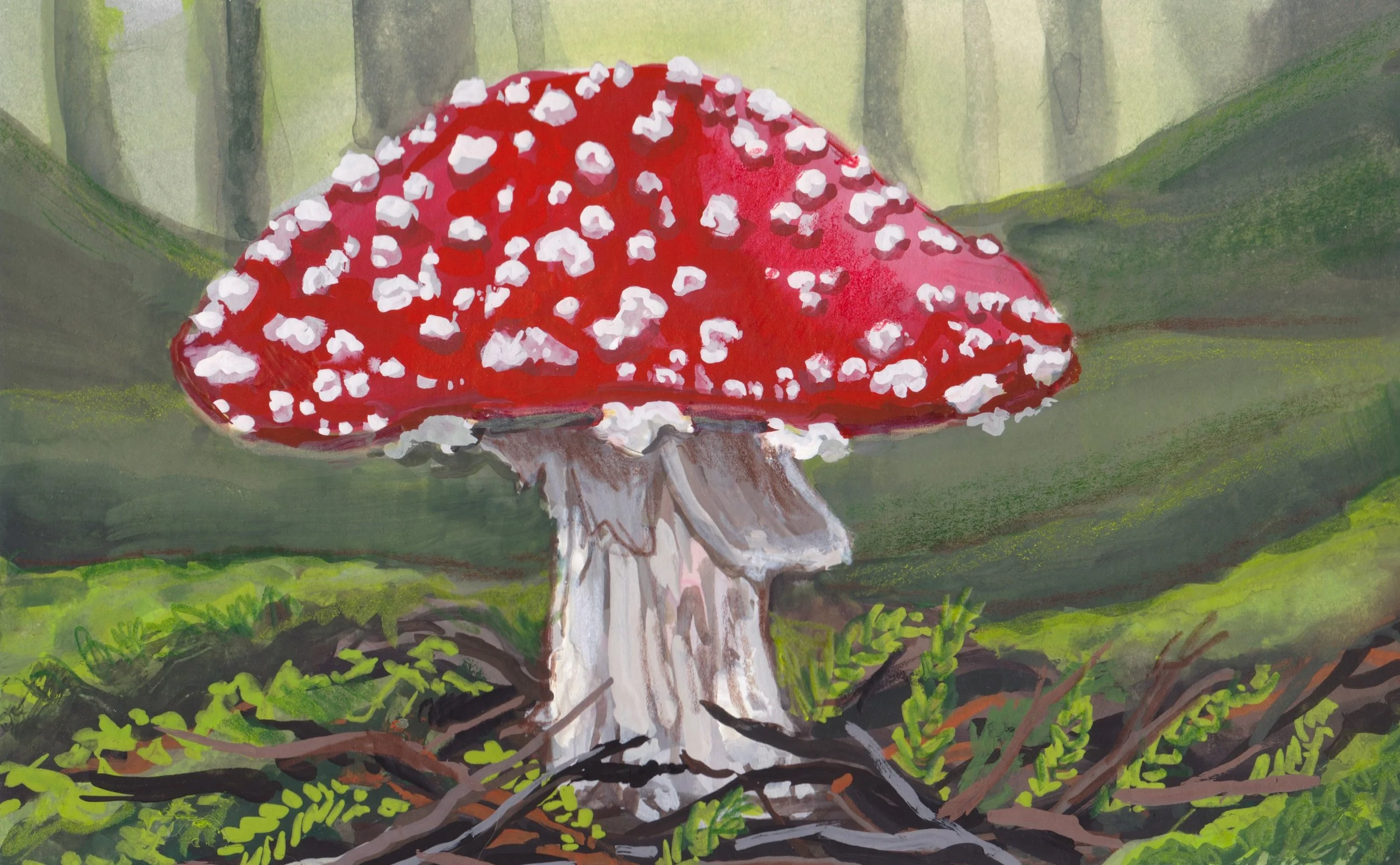 FlyAgaricMushroom.JPEG