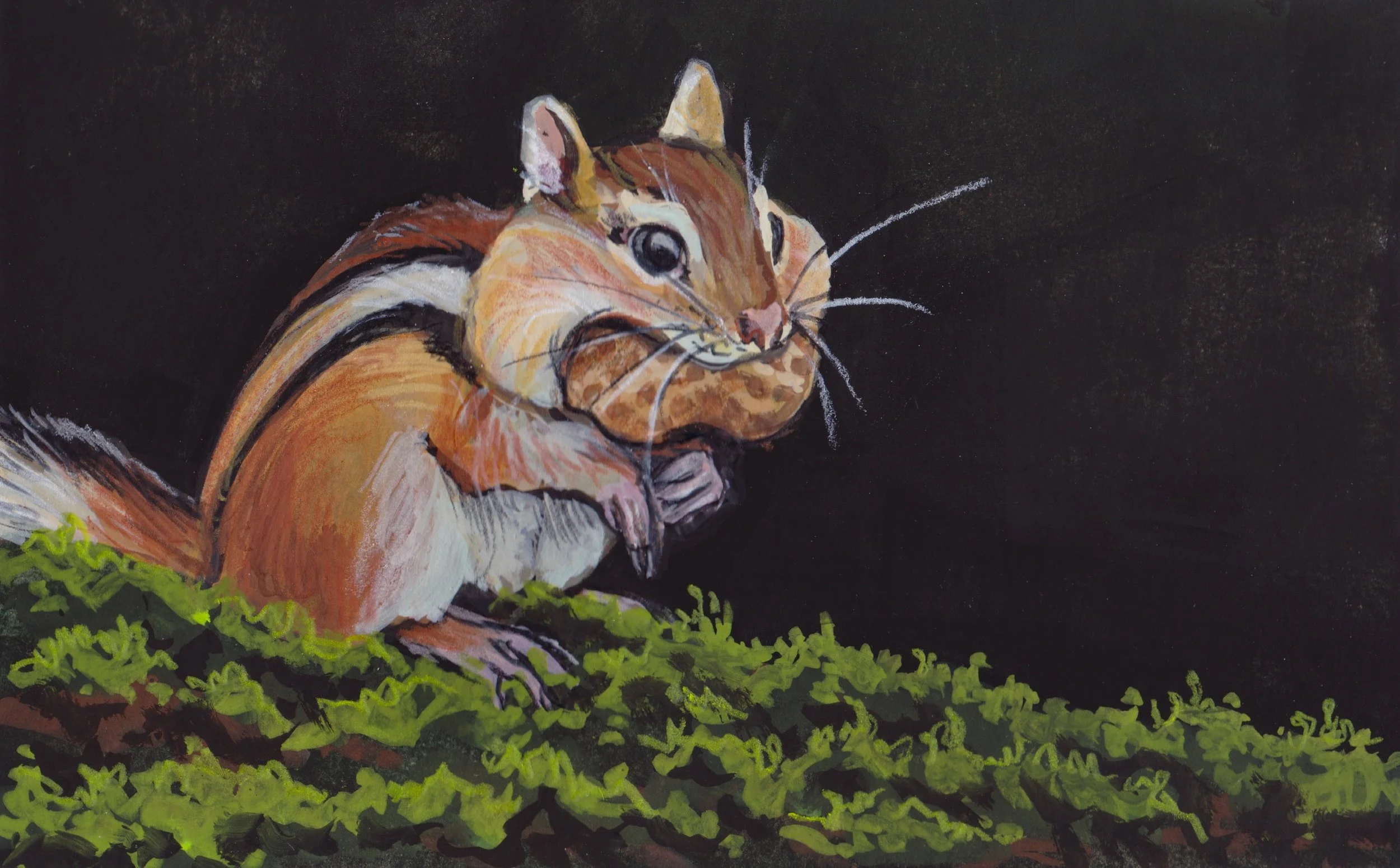 Chipmunk.JPEG