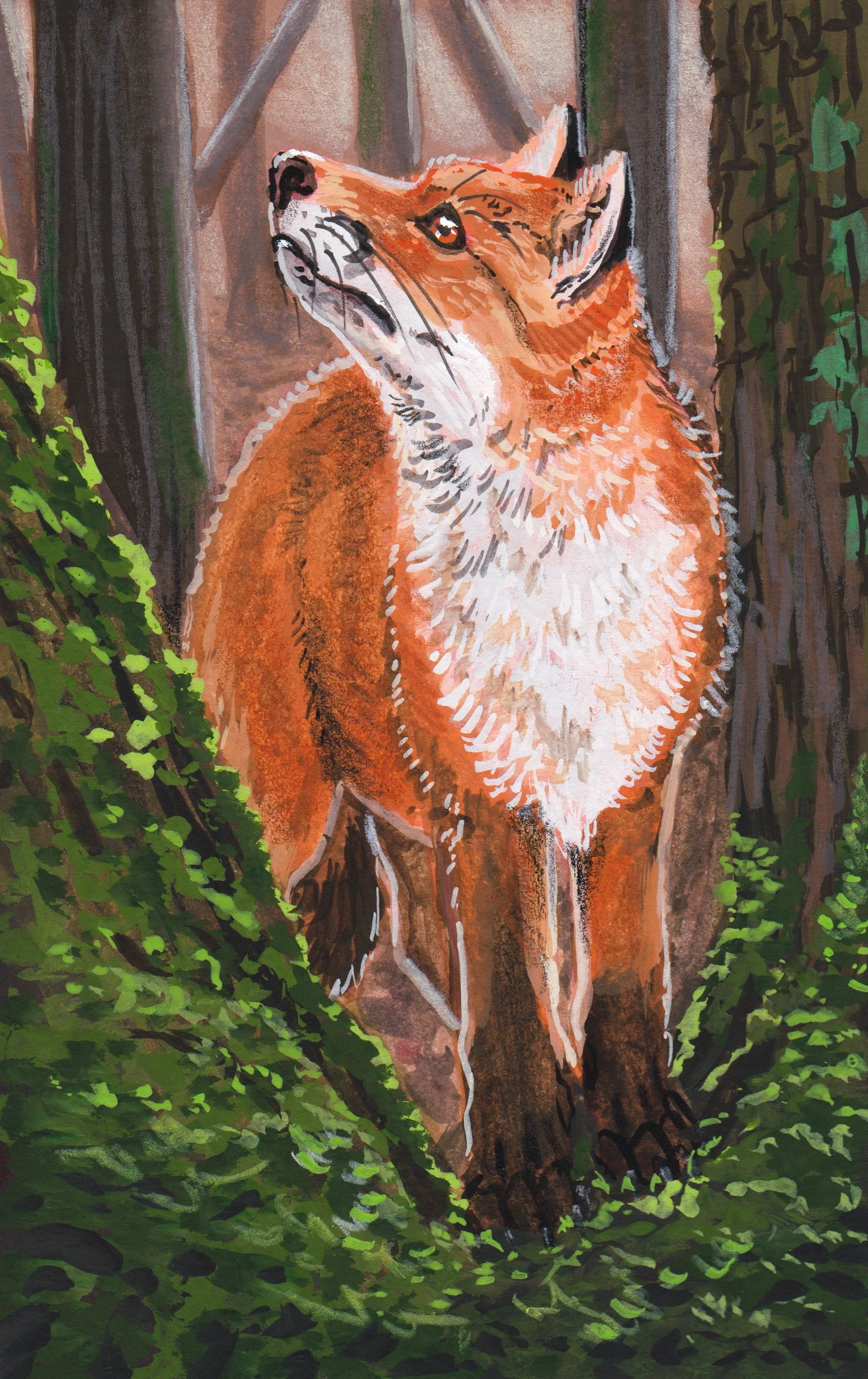 RedFoxInPortumnaForestPark_Ireland.JPEG
