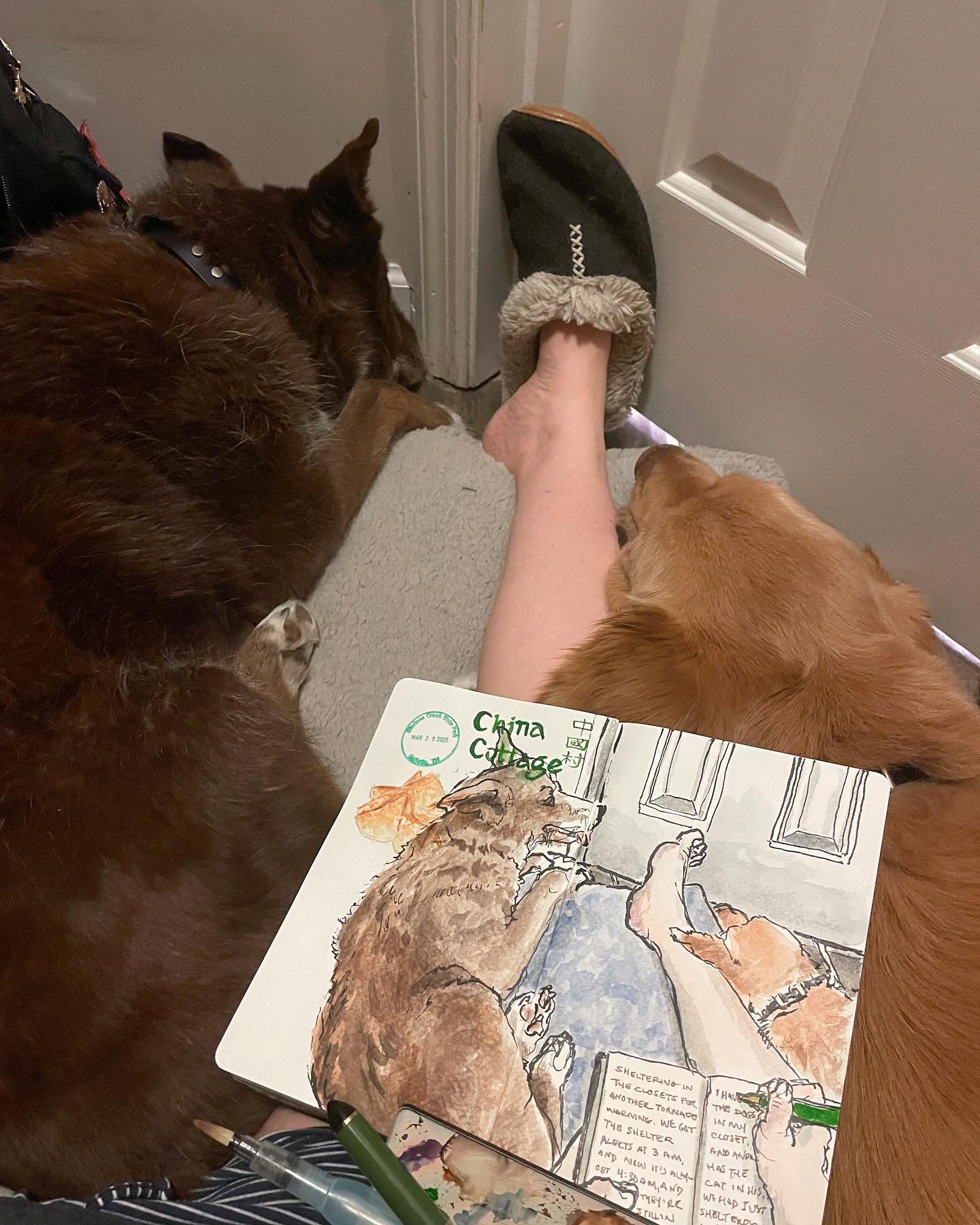 (TW: flashing on 4th slide)

Second tornado warning in a week. This one was much more severe (and much closer), so my partner and I ended up having to shelter in our closets for an hour and a half. I got the closet with the dogs, so we were a wee bit