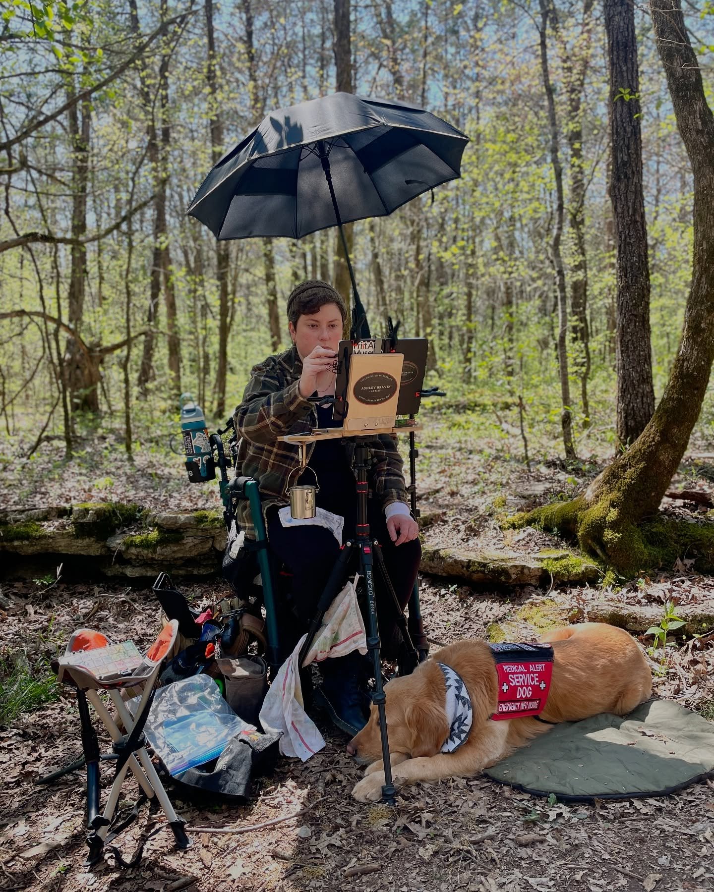 Here&rsquo;s a collection of photos from my painting outing at @tennesseestateparks Cedars of Lebanon State Park with my service dog, Rico, last week. Now is a great time to go and support your local state park!

accessibility: A collection of photos