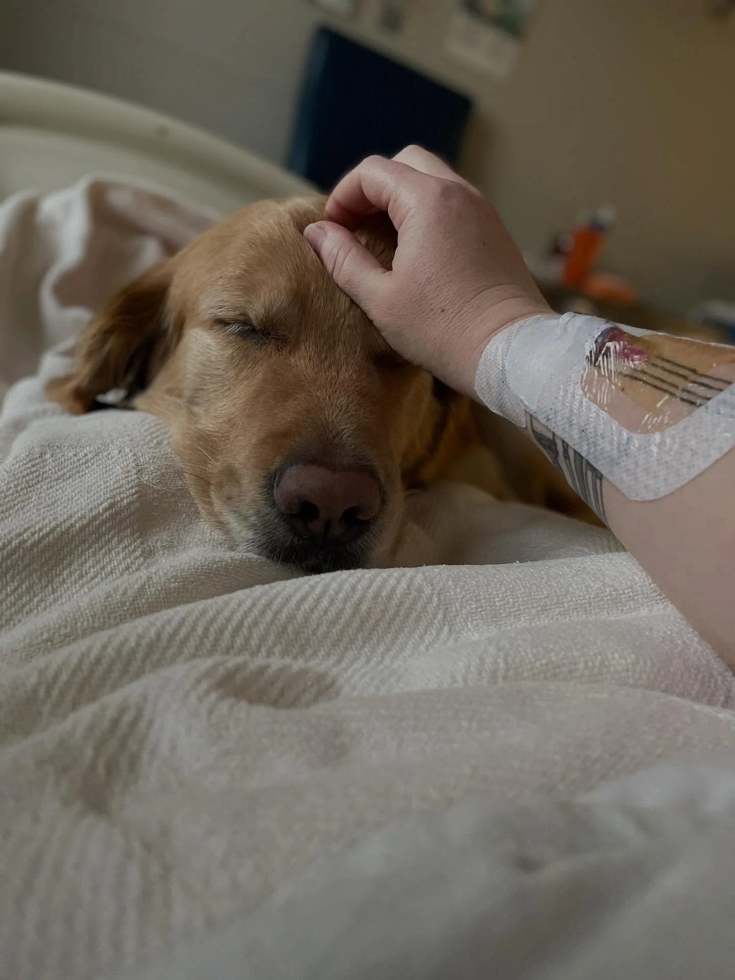 So, about what happened these past couple of weeks:

I was in the ER and admitted into the hospital for three and a half days for a kidney infection and sepsis. I came in with a resting HR of 145bpm and a bad fever of 103.5, and tore through 14 liter