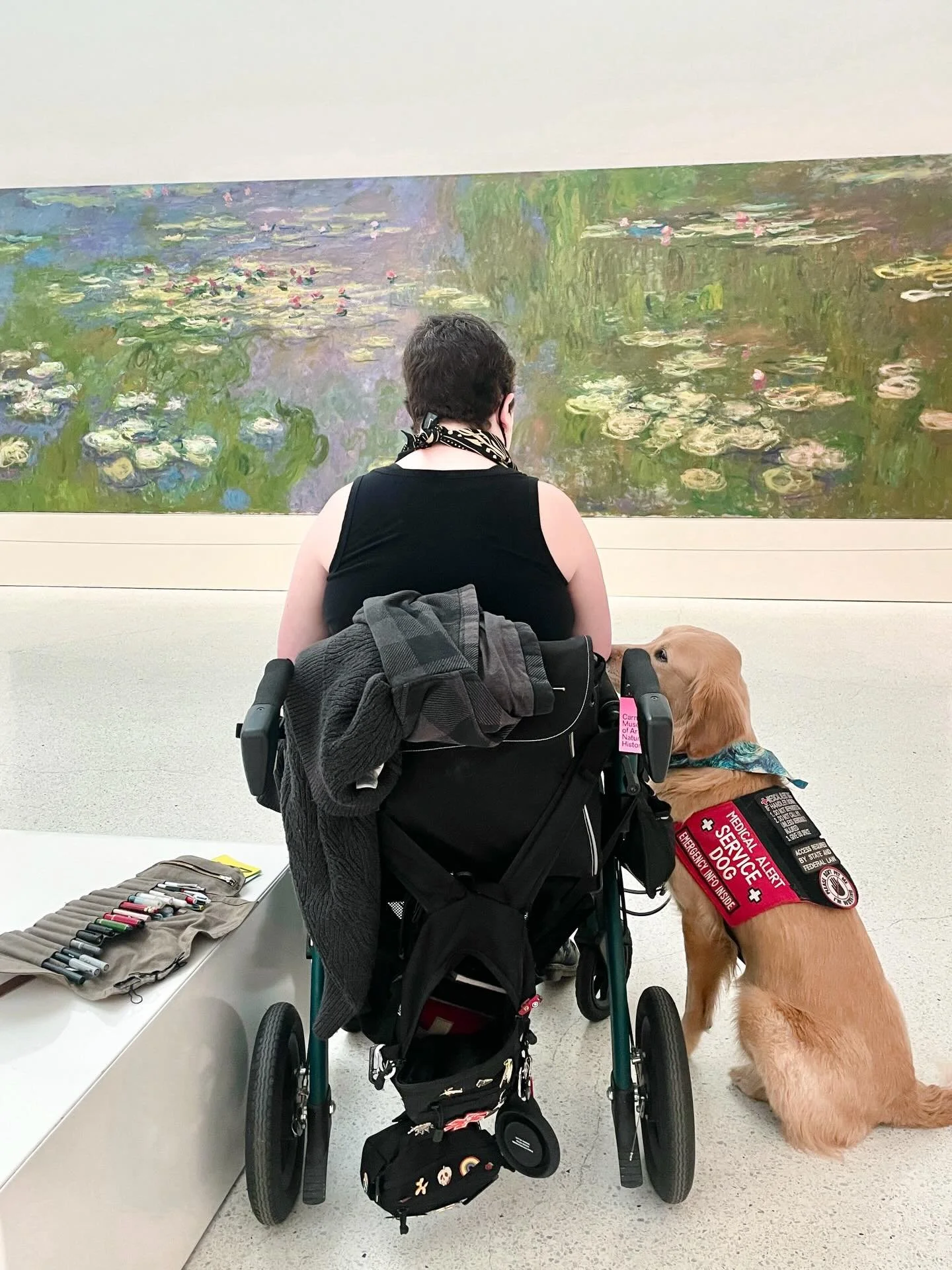 One of the highlights of my visit to the Carnegie Museum of Art (@carnegiemuseumofart) was to see Claude Monet&rsquo;s, &ldquo;Water Lilies (Nymph&eacute;as)&rdquo; (1915-1926). I have been fortunate enough to see several of Monet&rsquo;s painting of