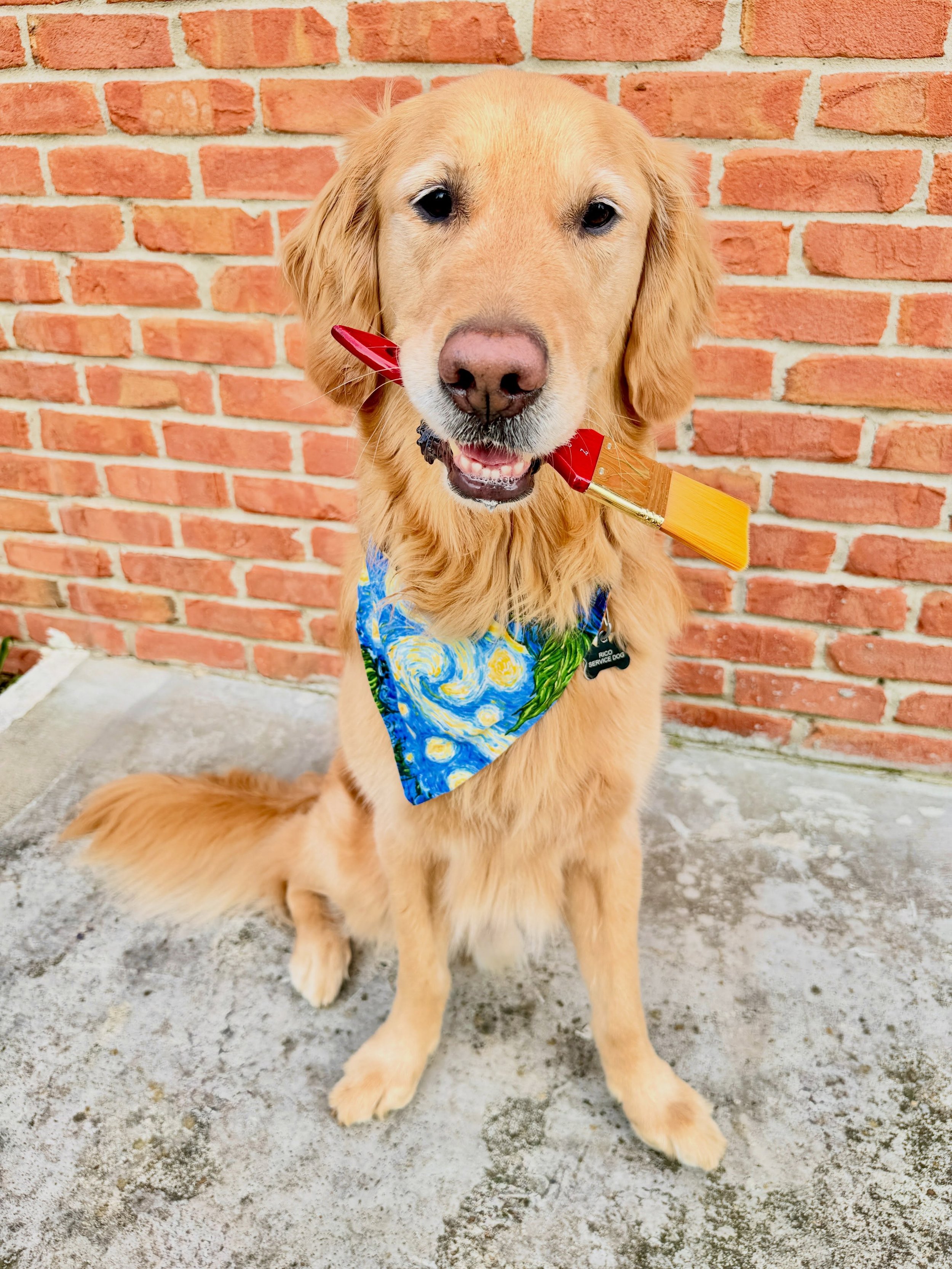 Happy National Dog Day to my two favorite studio pups and service dogs!

Rico would like to lend his studio pup services. This involves slobbery brushes, painted paw prints, and upside down snore breaks, and he does expect a tip of crunchy dog cookie