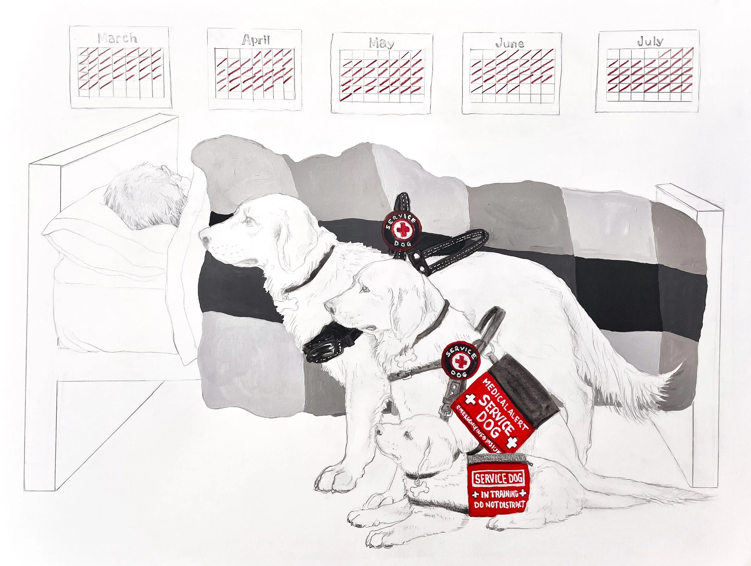 A B&W painting on paper, of Ashley in bed under a plaid blanket w/ calendar months sheets above her w/ days marked off in red. In front is Rico, her service dog, growing up in three poses from a puppy to in-training, to a fully graduated service dog.