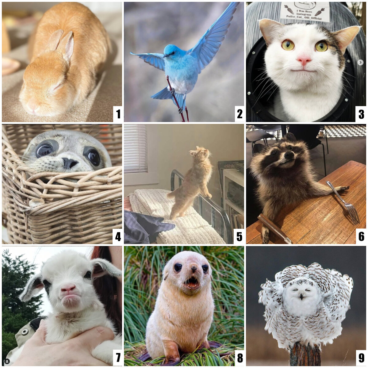 How Are You Feeling Today