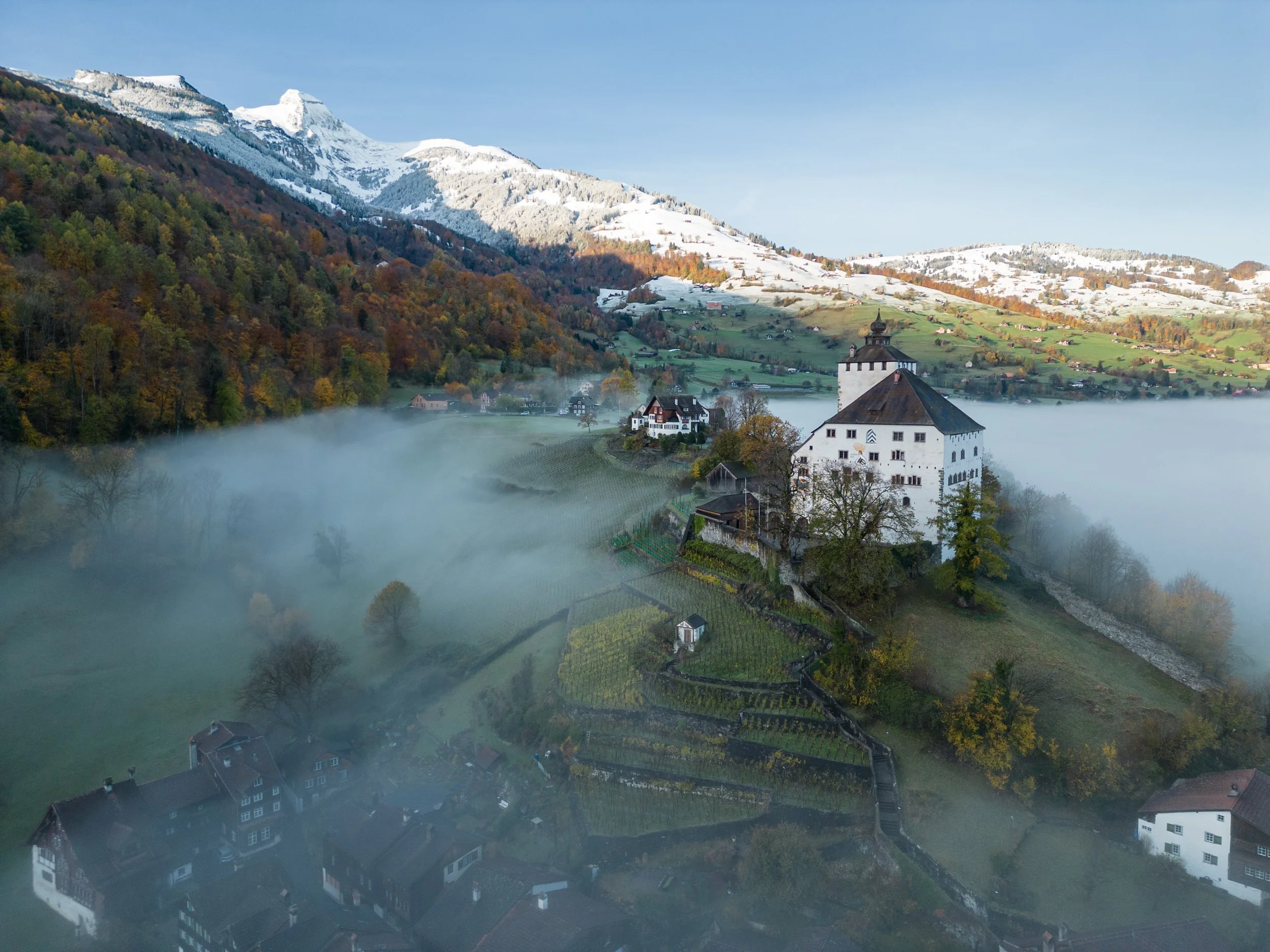 Schloss Werdenberg.jpg