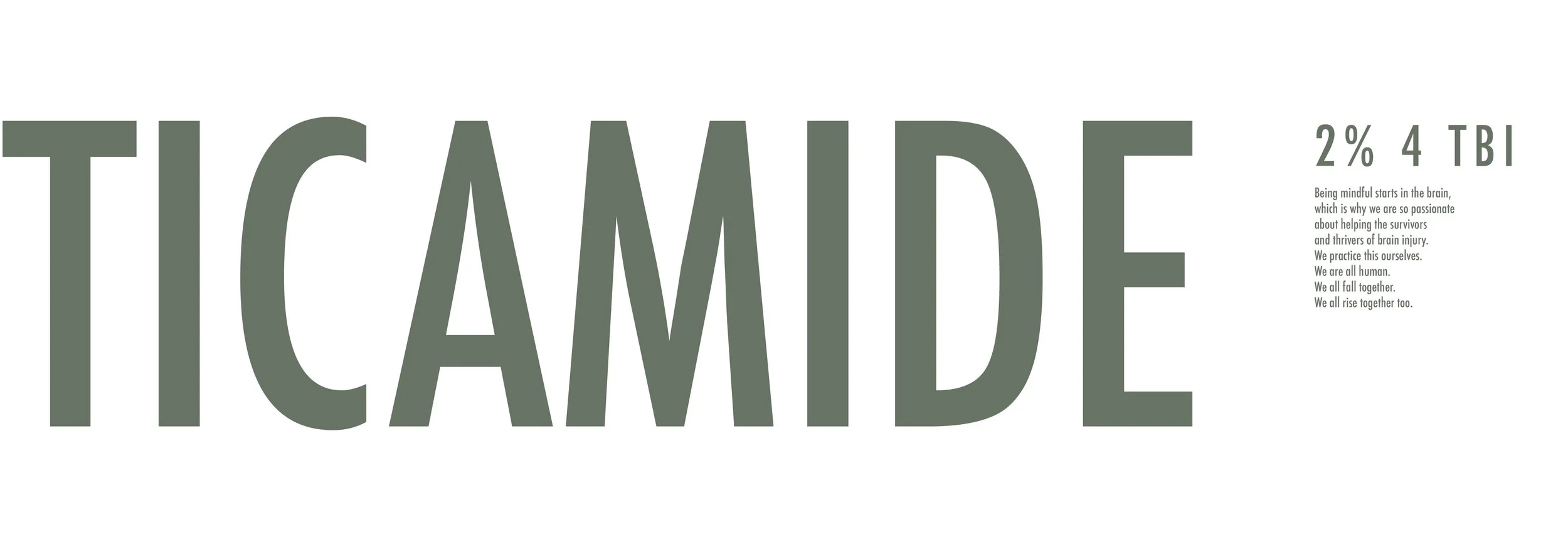 TICAMIDE LOOK BOOK 13.jpg