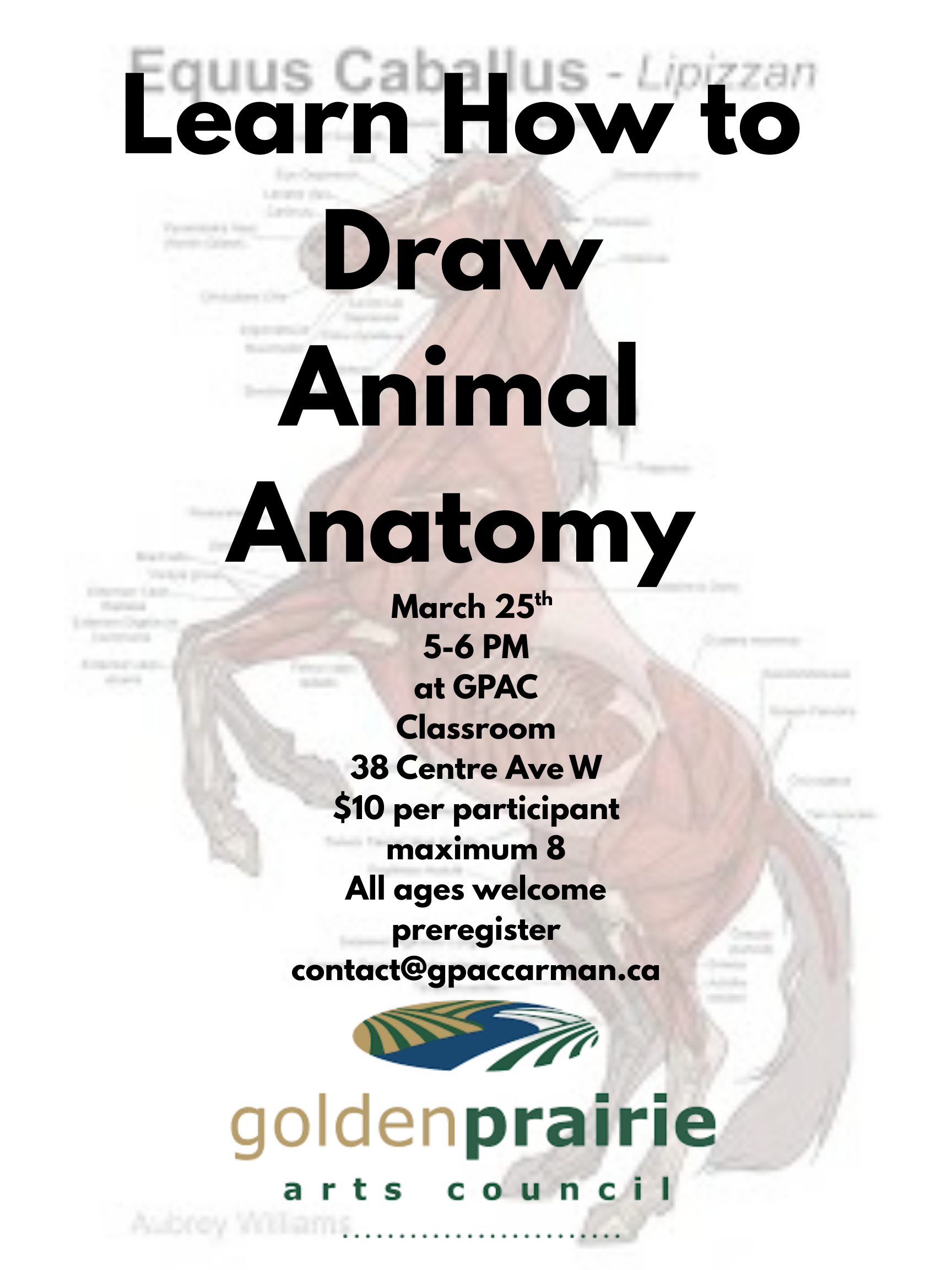 Drawing Animal Anatomy