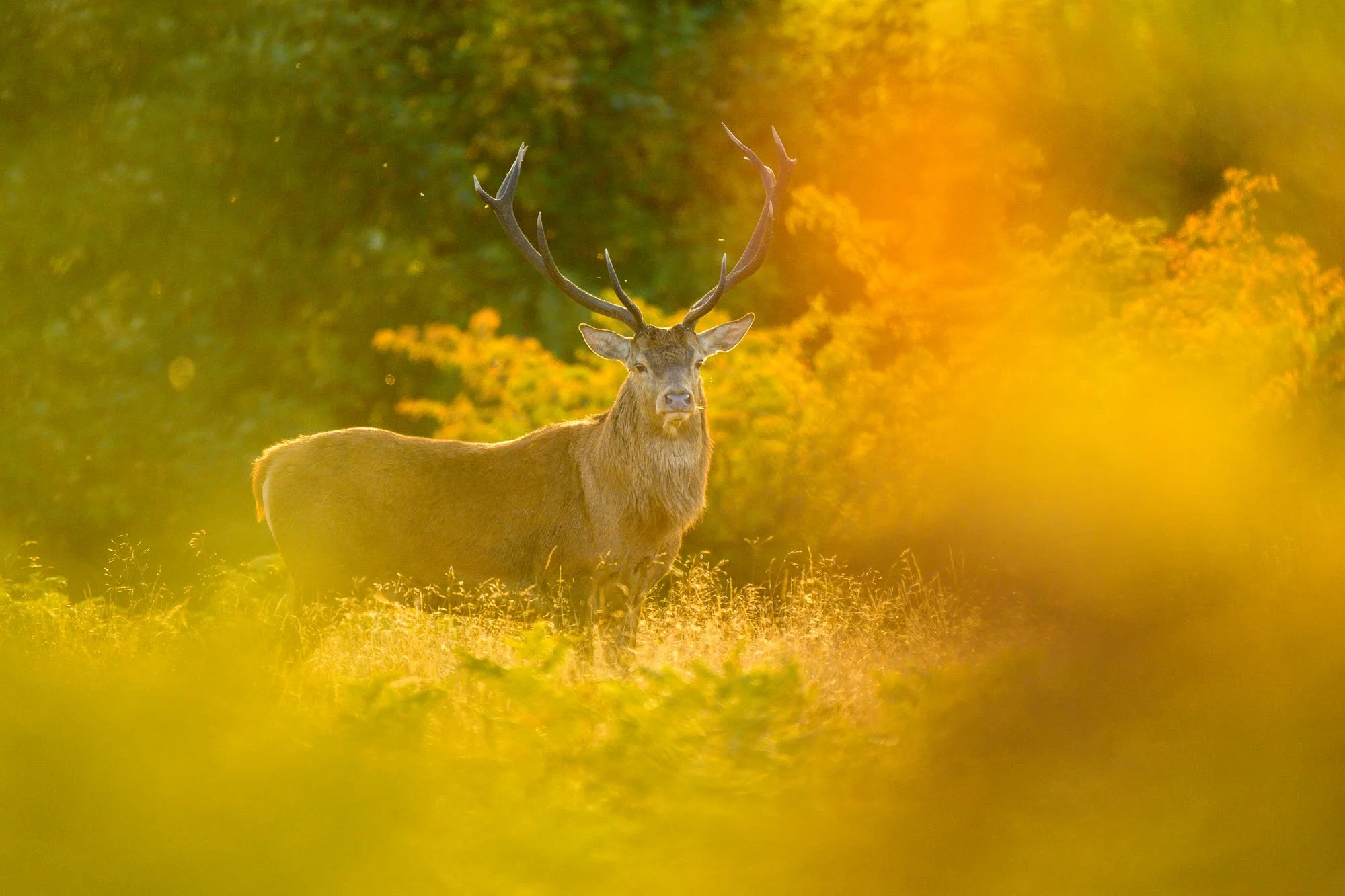 The Start of Autumn