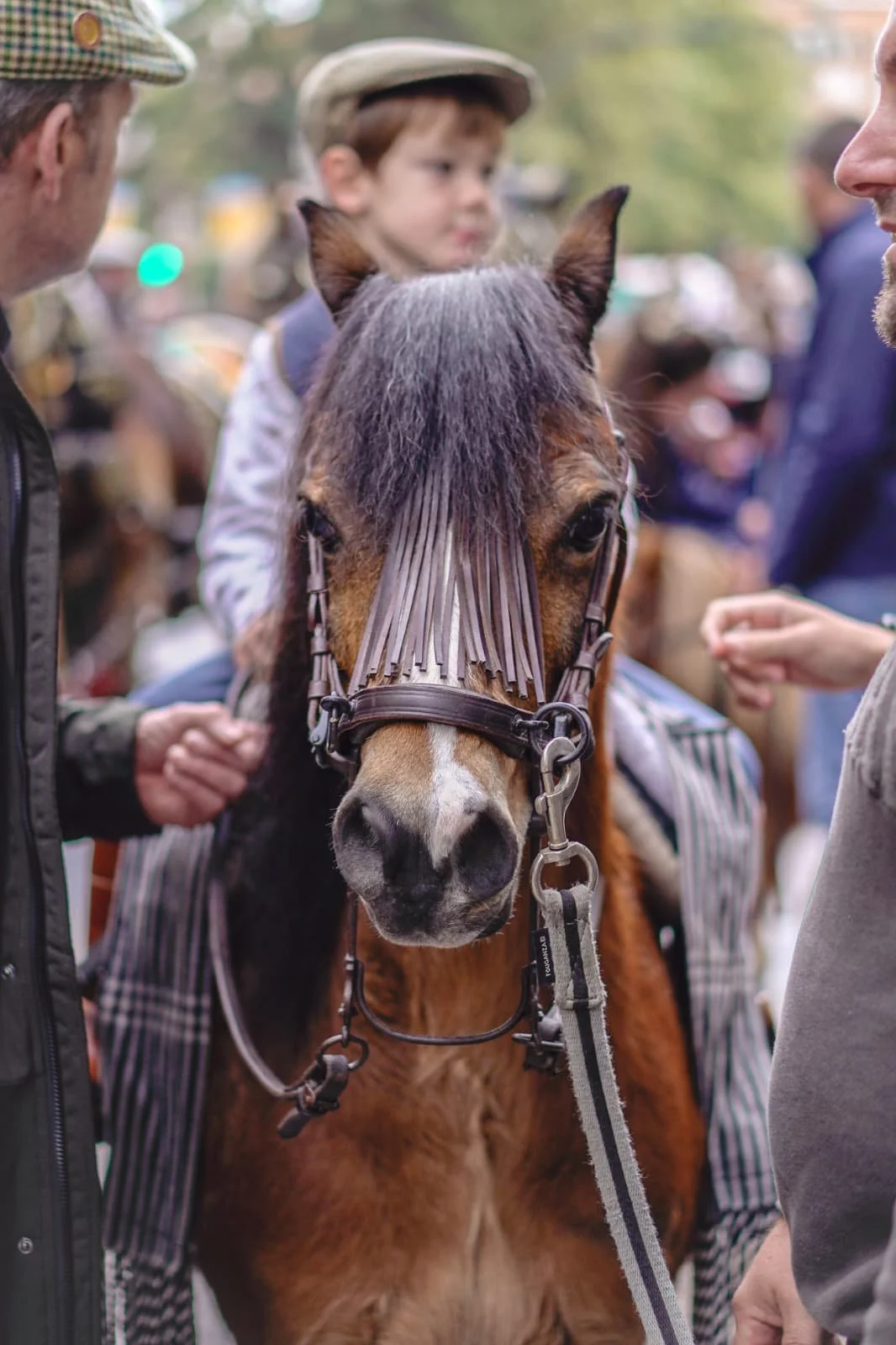 WhatsApp Image 2026-04-19 at 20.59.46 (3).jpeg