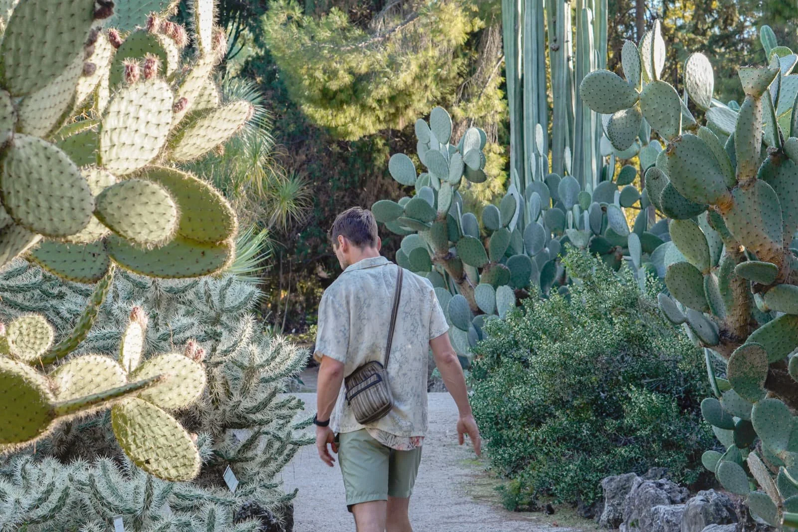 WhatsApp Image 2026-04-19 at 20.59.50.jpeg