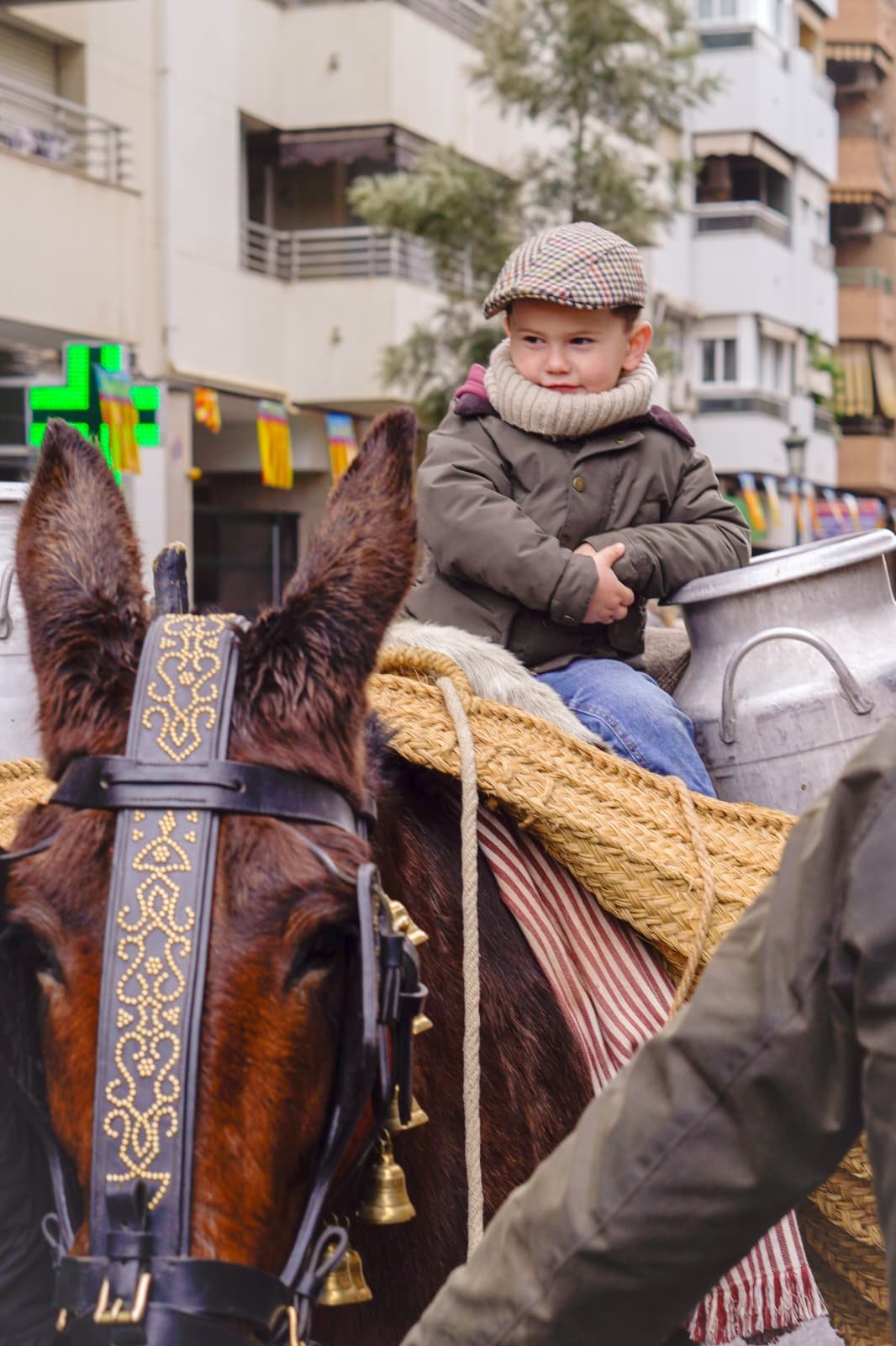 WhatsApp Image 2026-04-19 at 21.08.10.jpeg