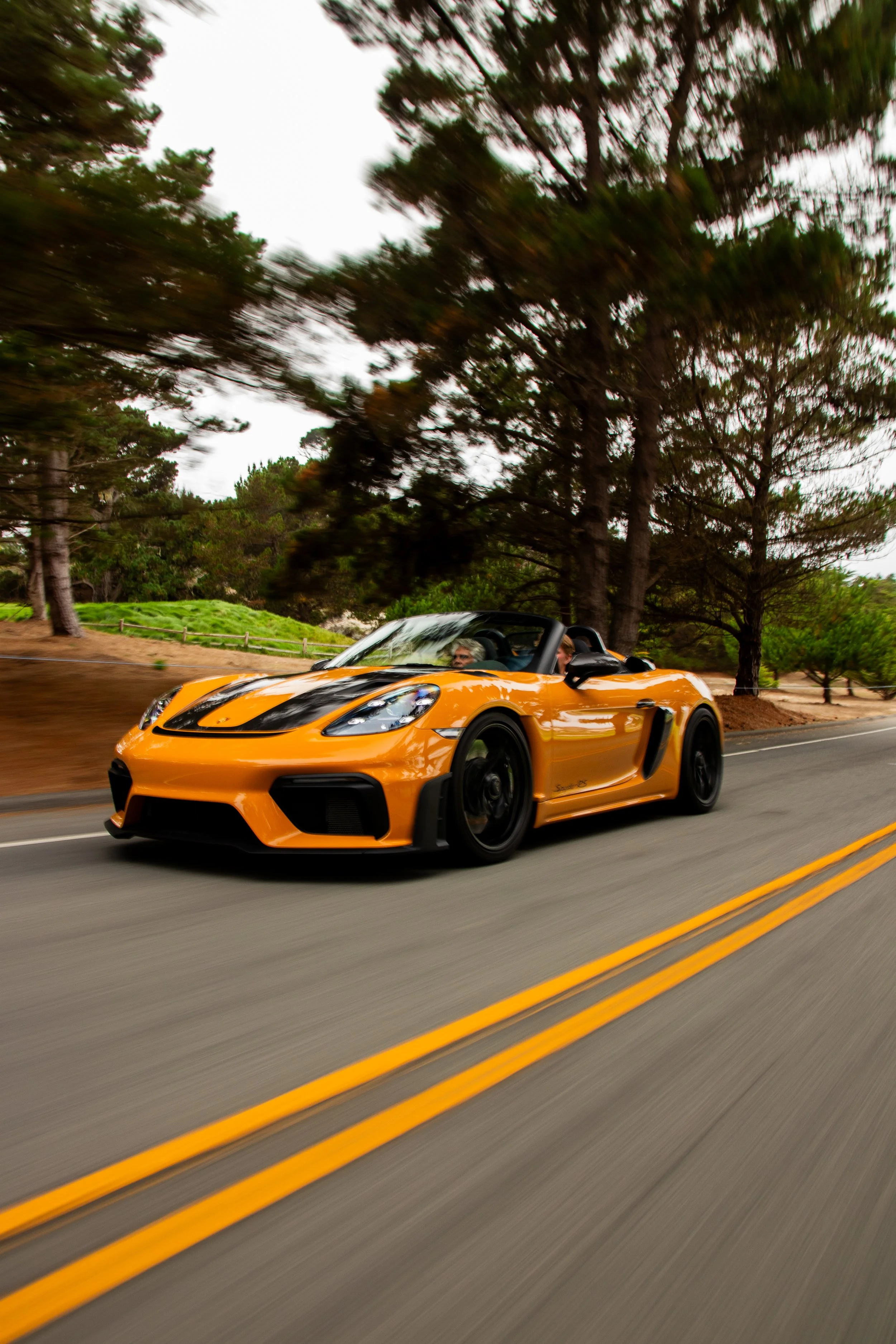 SpyderRS-73.jpg