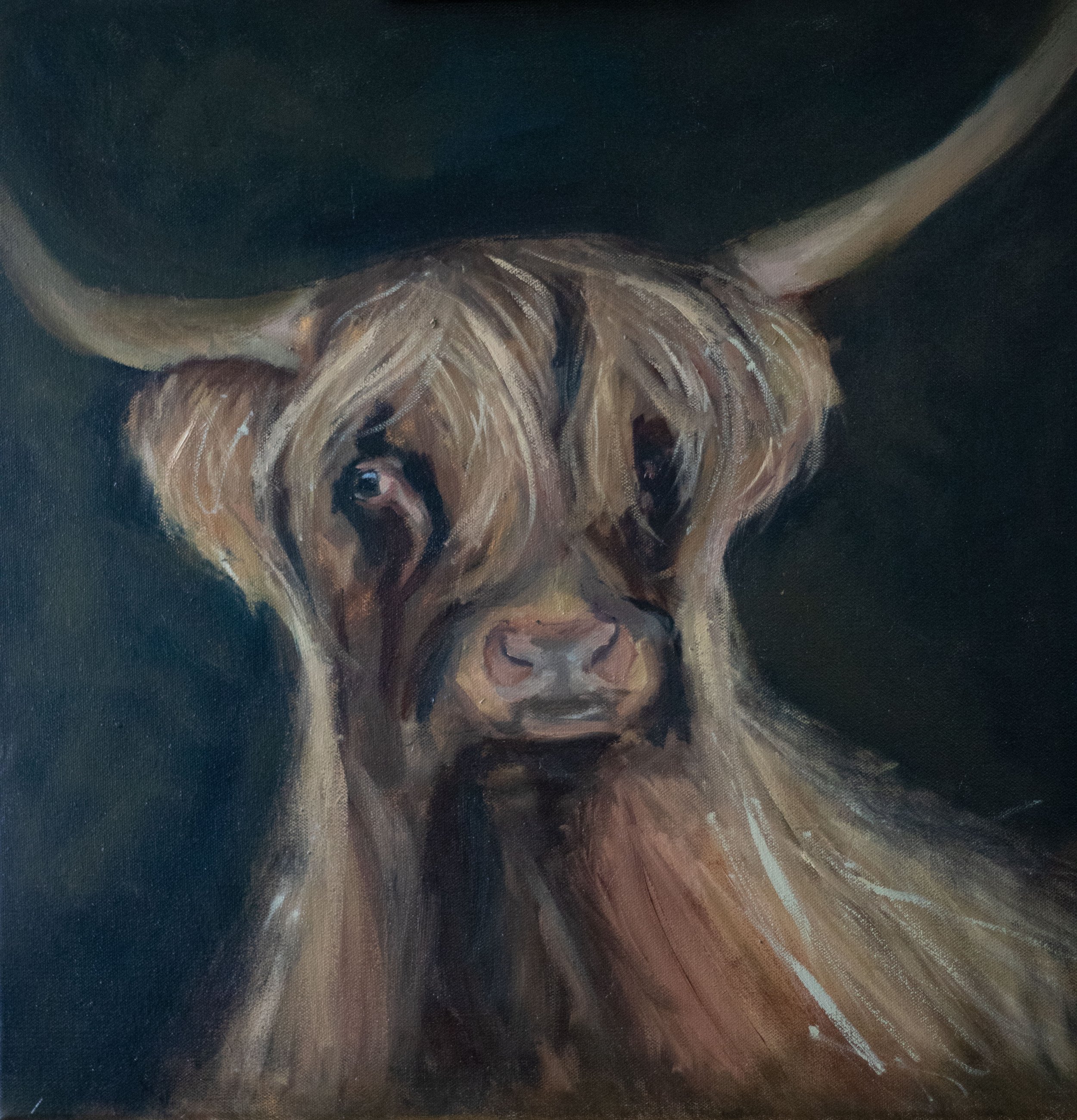 Cow 4a.jpeg