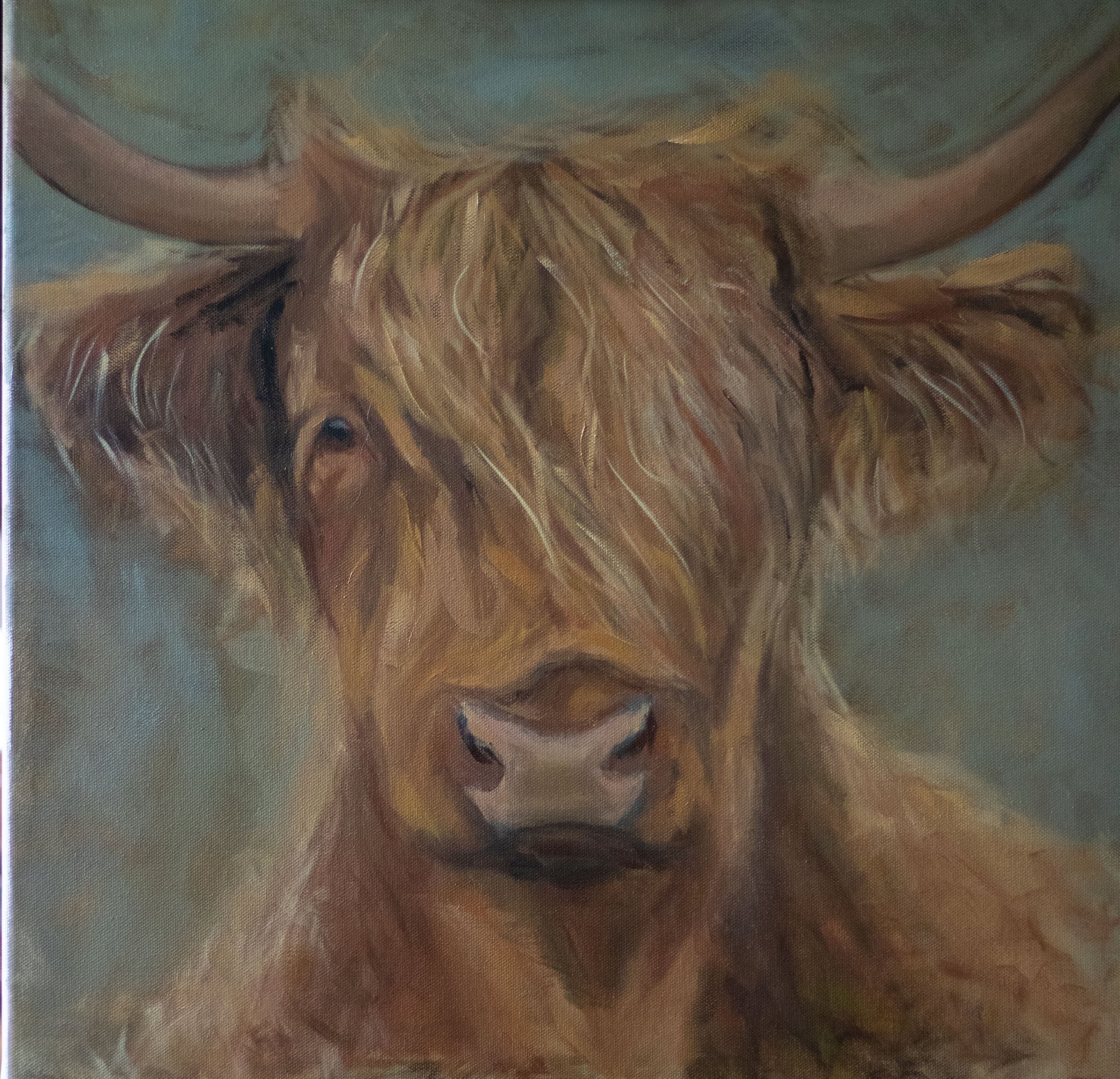cow 1a_1.jpg