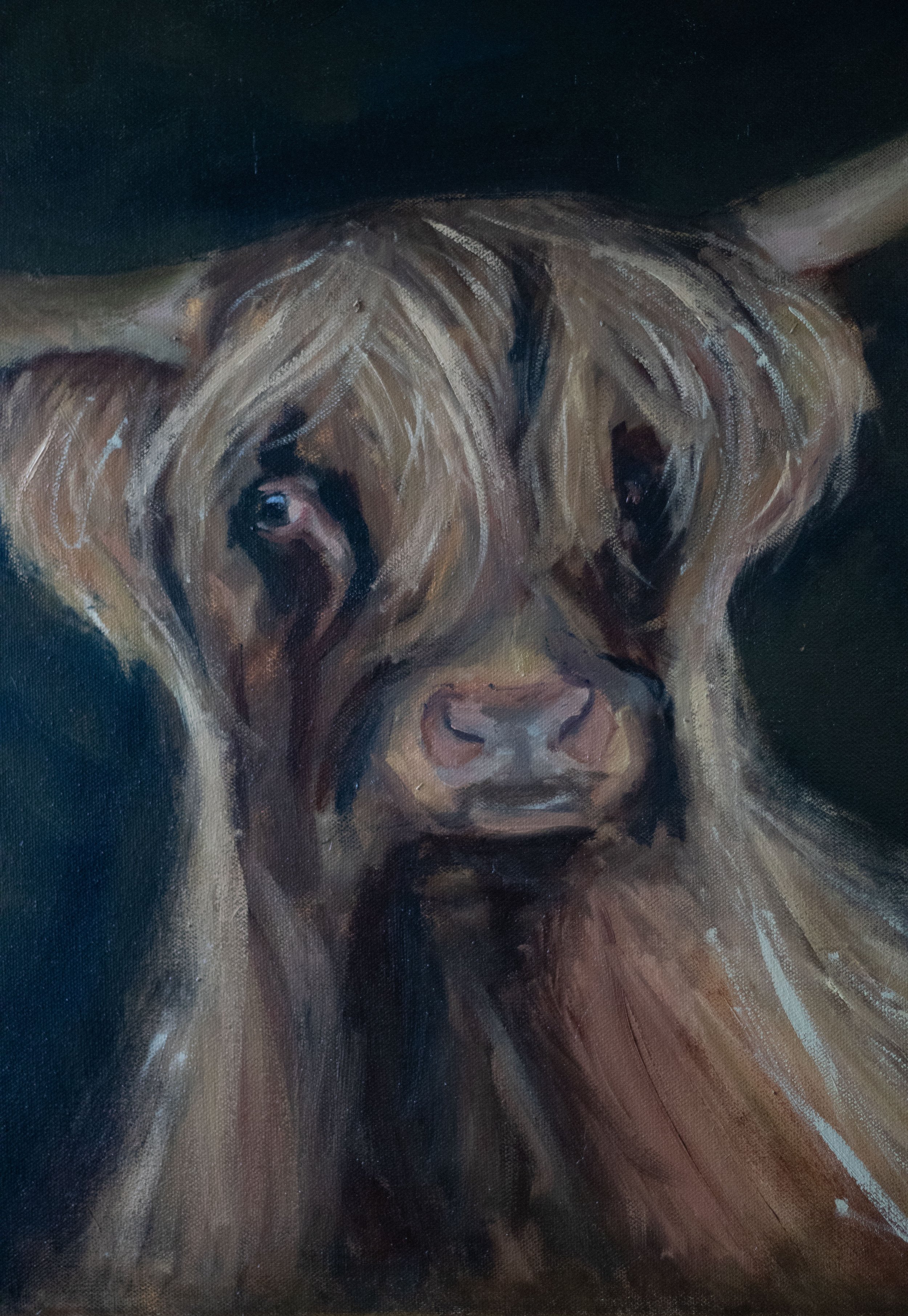 Cow 4c.jpeg