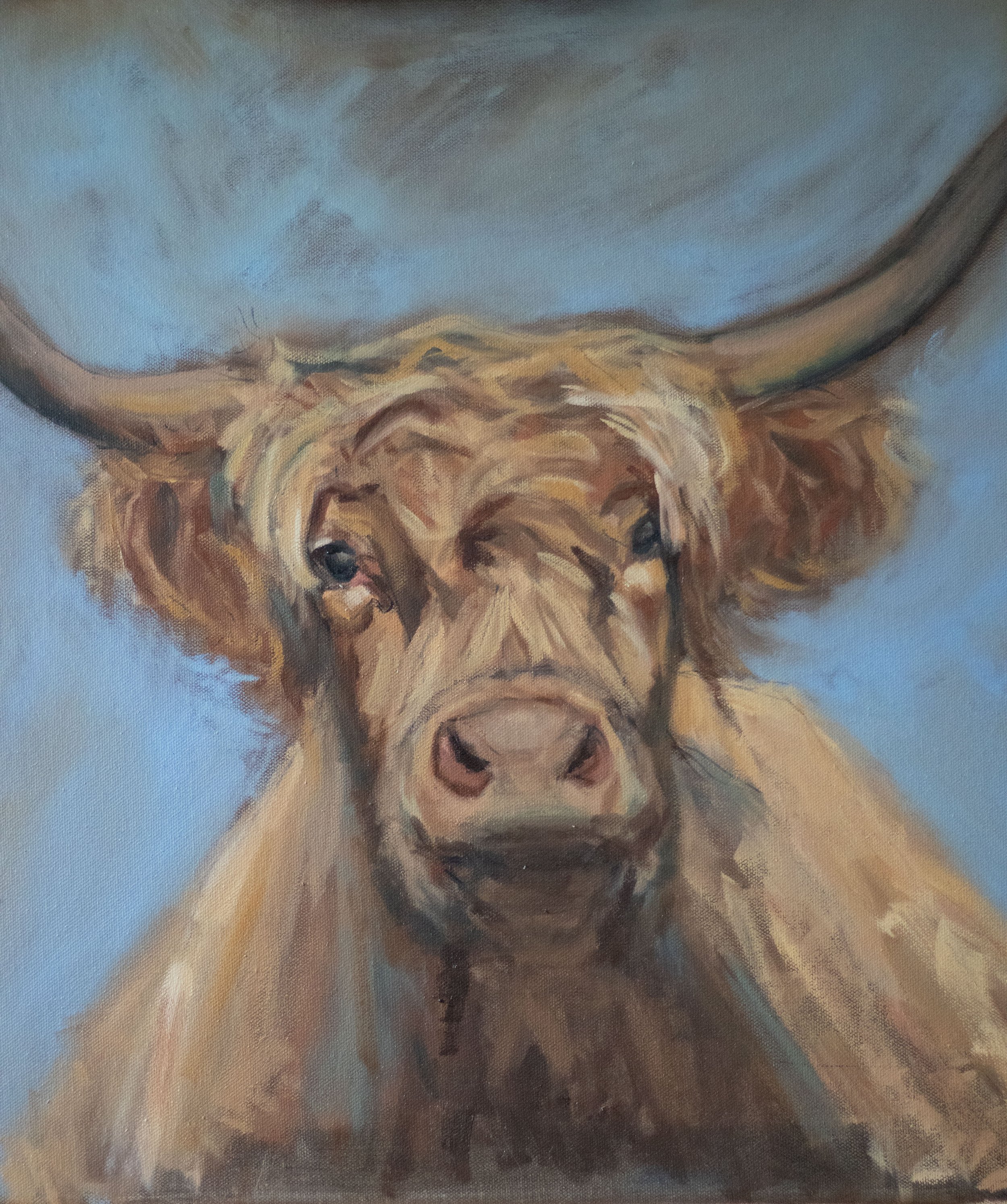 Cow 5.jpeg
