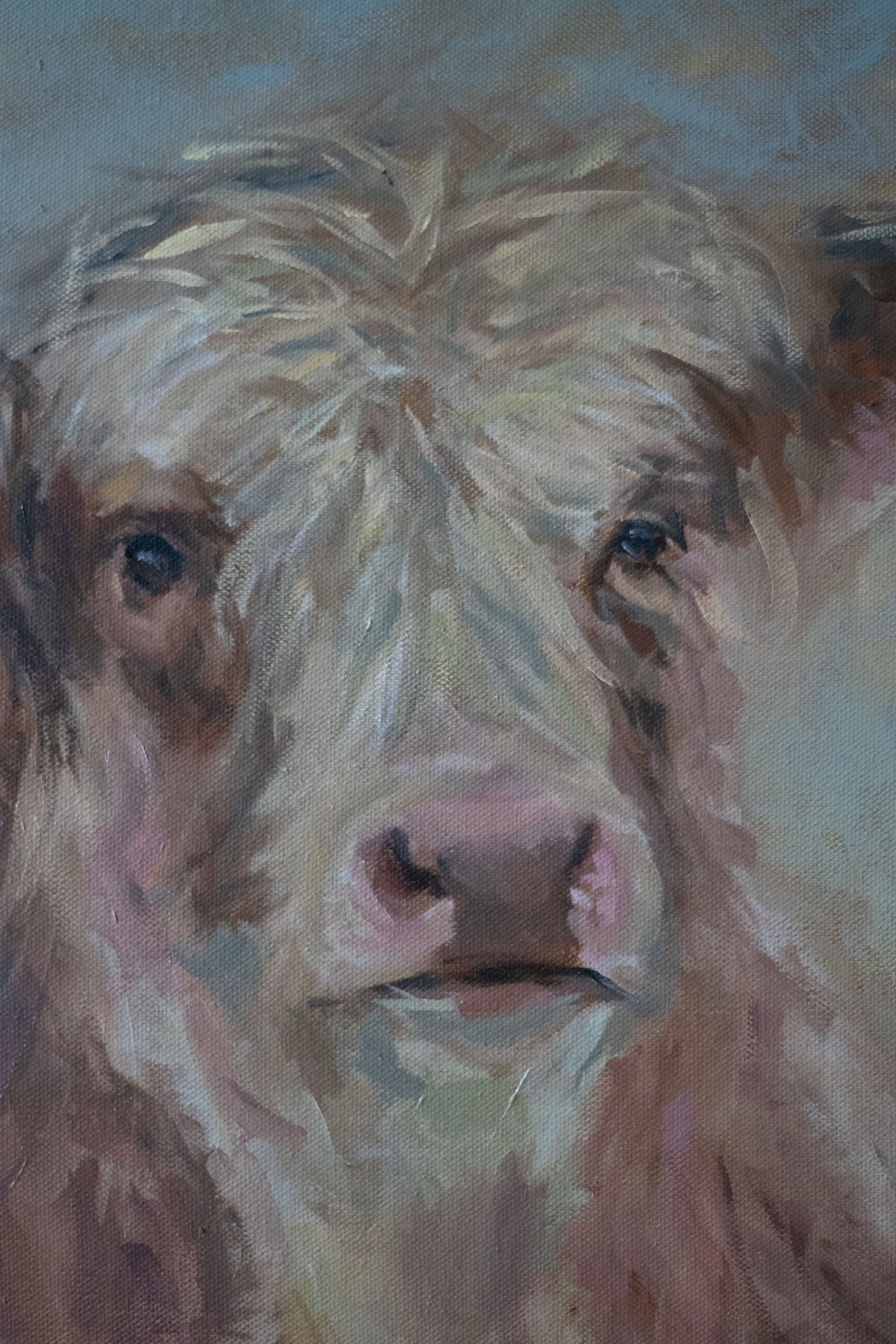 Cow 6.jpeg