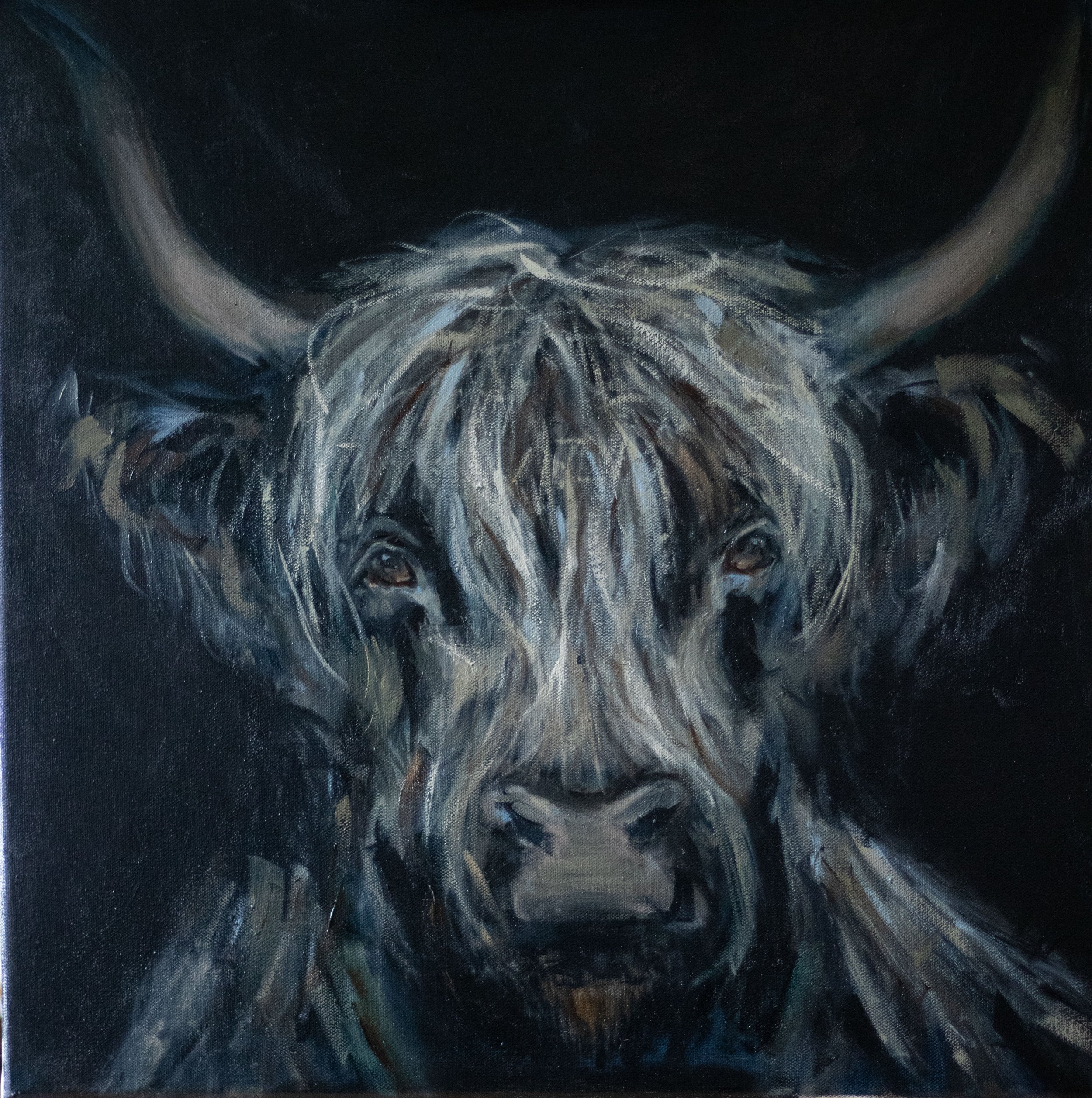Cow 2.jpeg