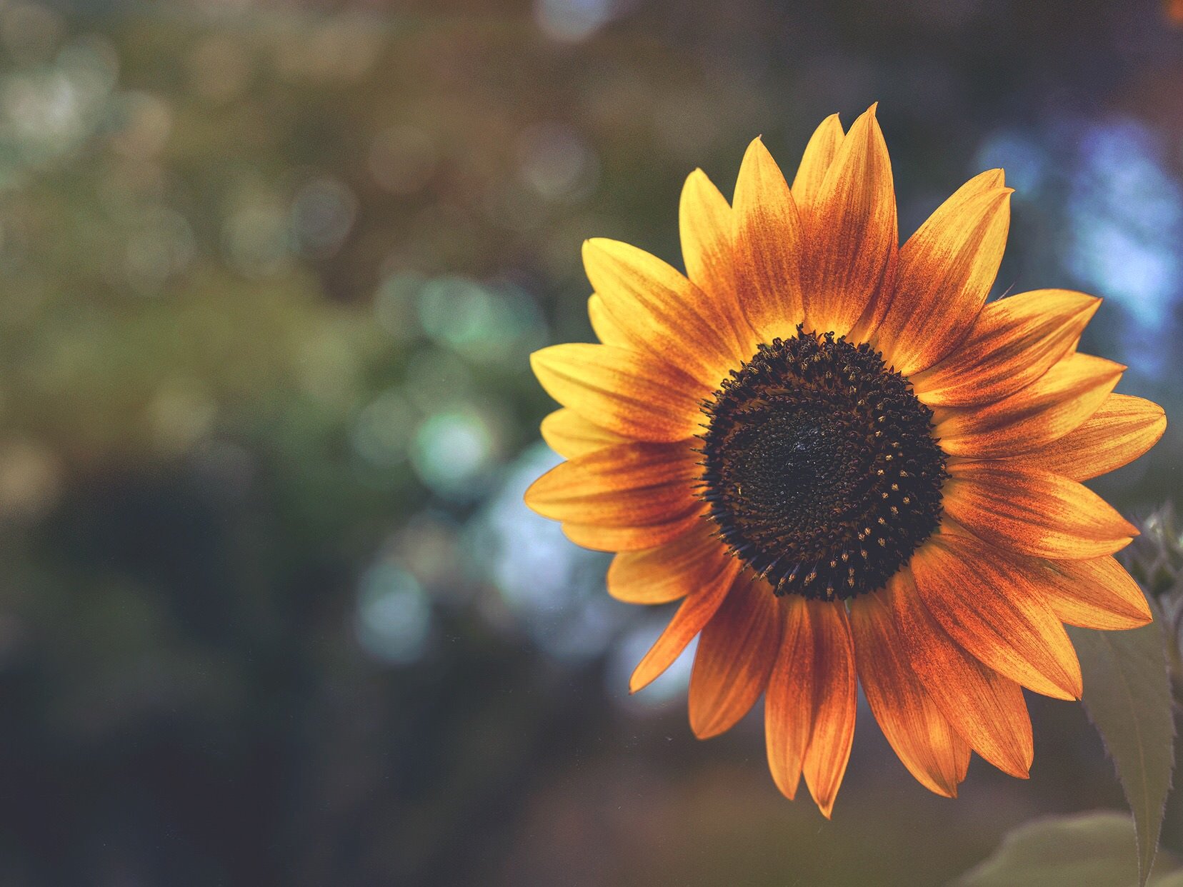 @aaronburden - VMHSIKI.jpeg