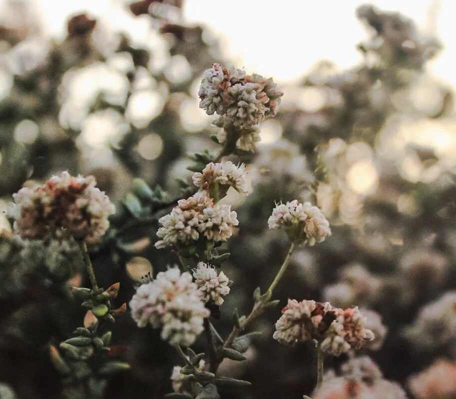 @courtjones - VBJHGMI.JPG