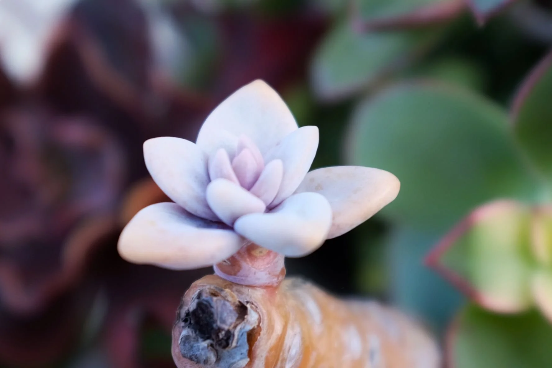 kris.mattison - original.JPG