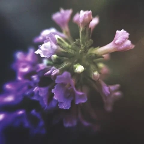 1after - LDXAVUL.jpeg