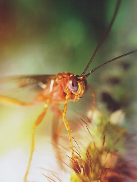 2after - YDPWJLN.jpeg