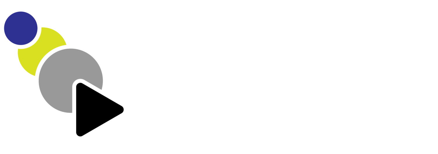 The Video Stewards
