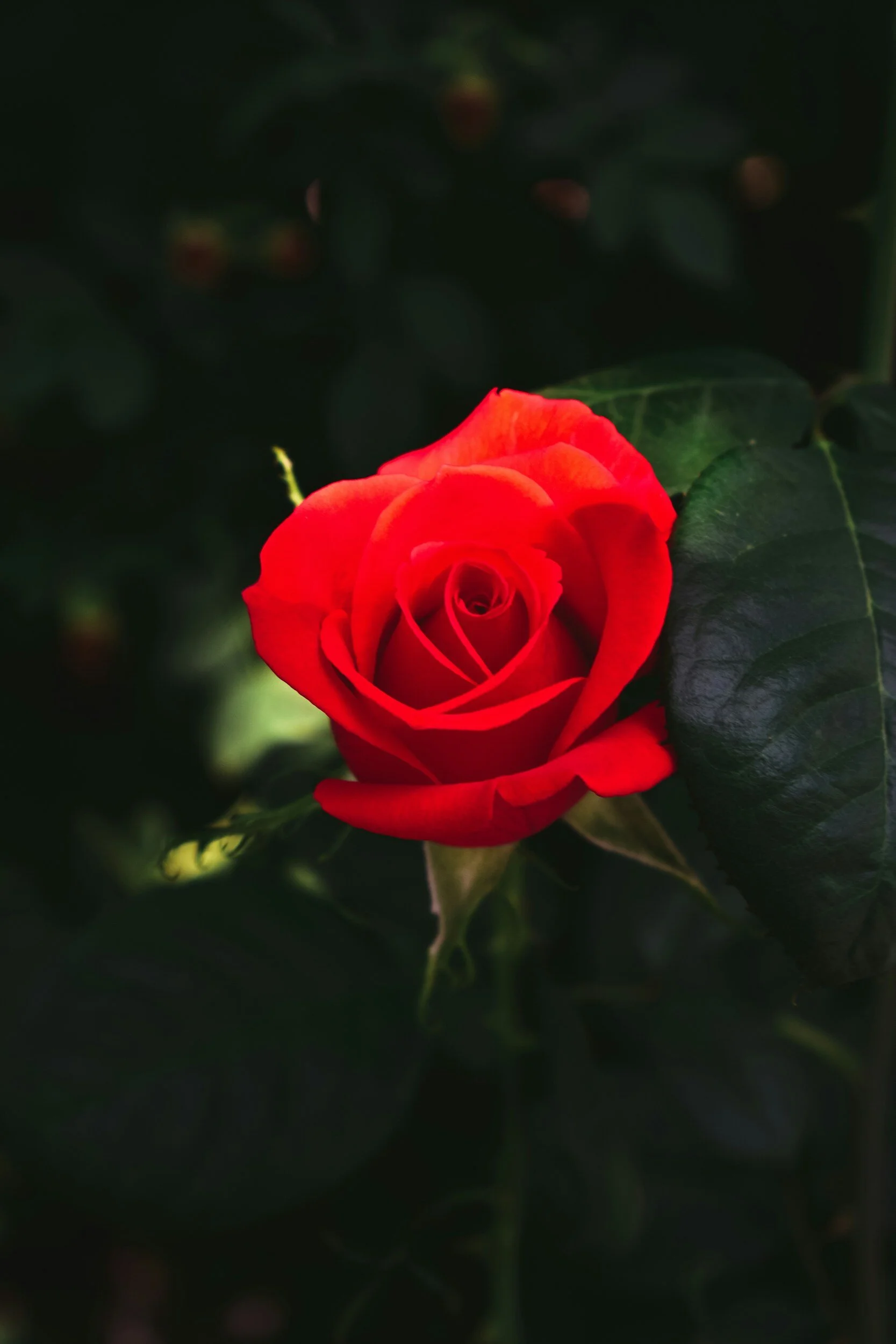 Dealing with a DWI Charge in Roseville, Minnesota? Advice from 