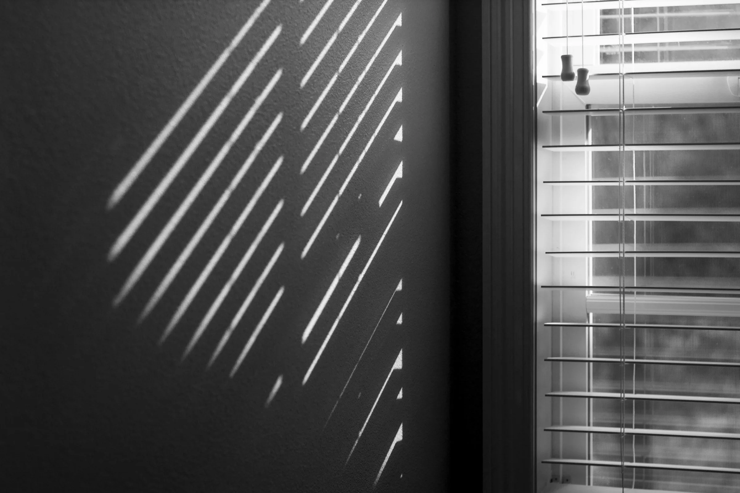 What Should I Do If I’m Charged with Interference with Privacy in Dakota County?