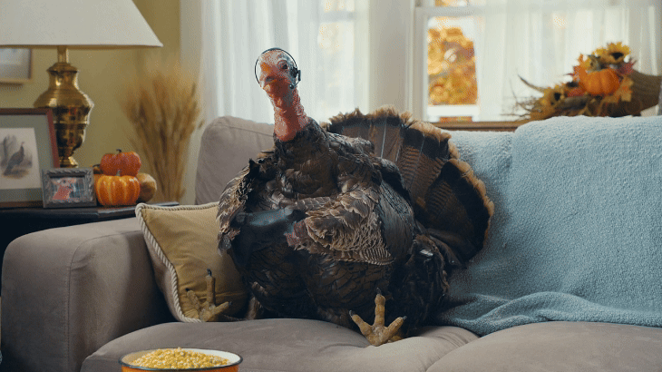 turkey.gif