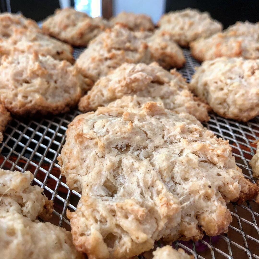 Fresh drop biscuits for the potluck picnic tonight! See you on the farm