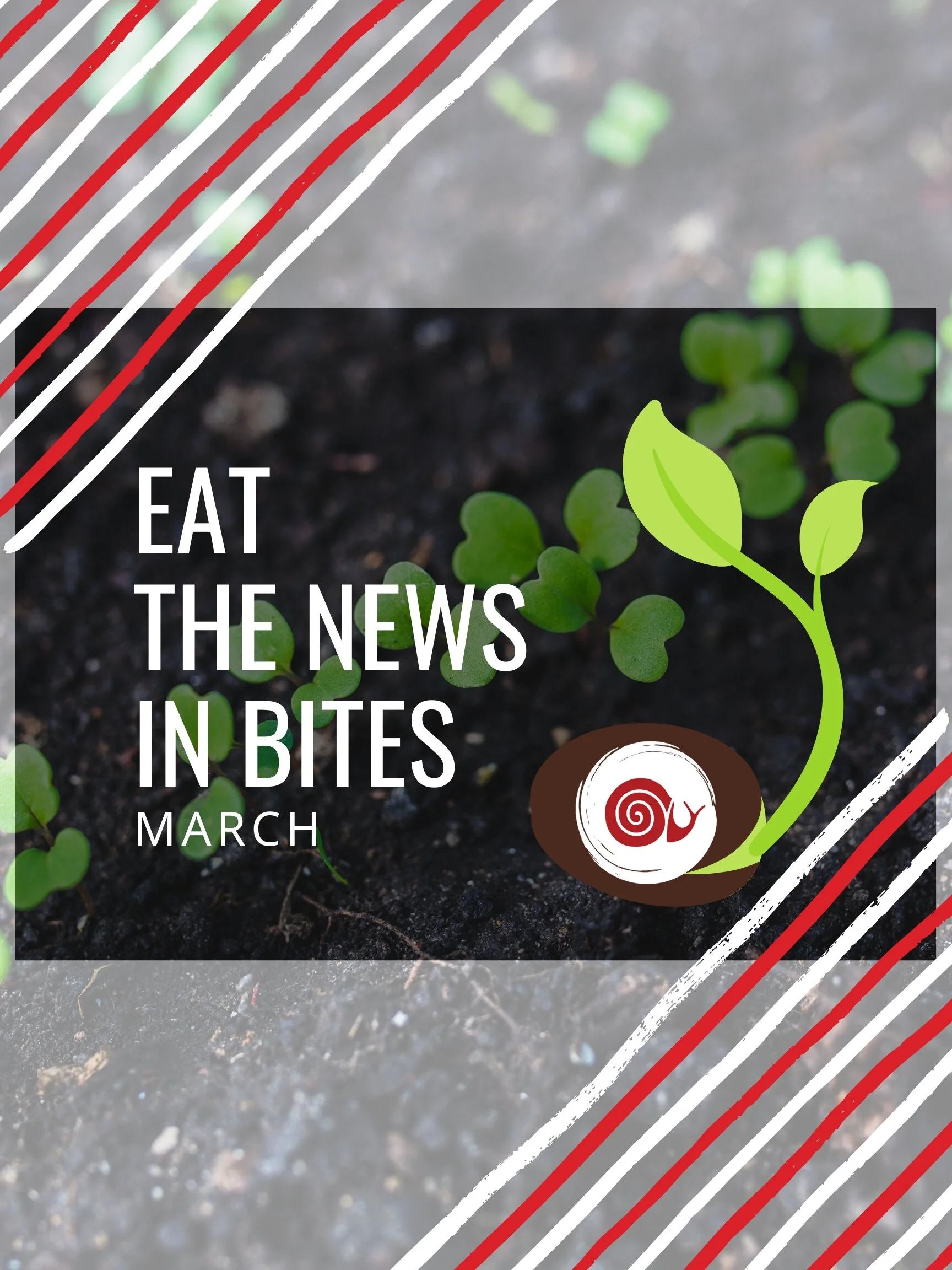 Eat the News in Bites: Local Food Community News, March 2021