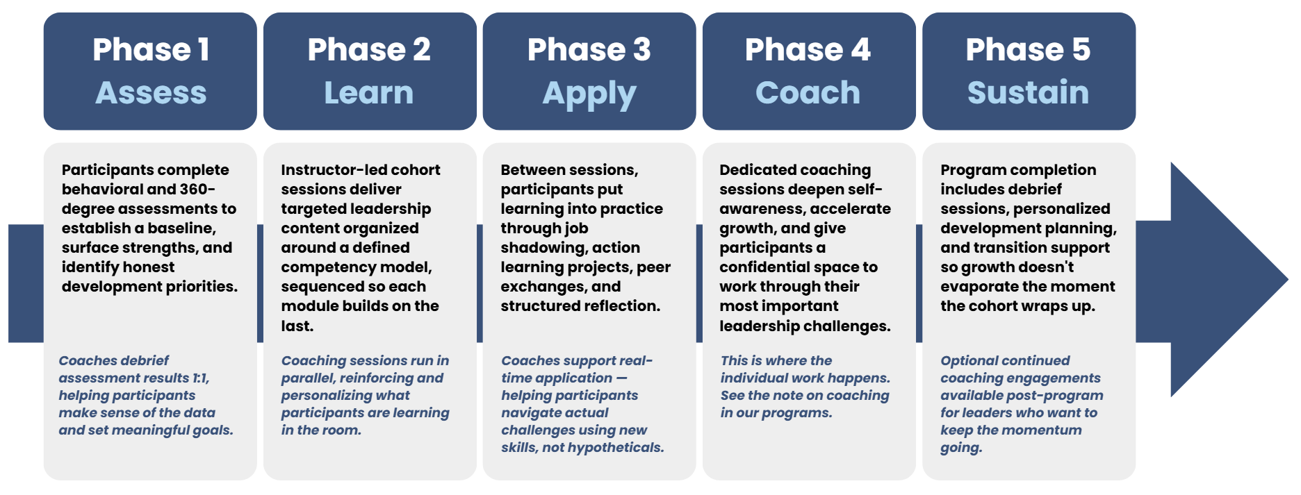 Phase 1: Assess, Phase 2: Learn, Phase 3: Apply, Phase 4: Coach, Phase 5: Sustain