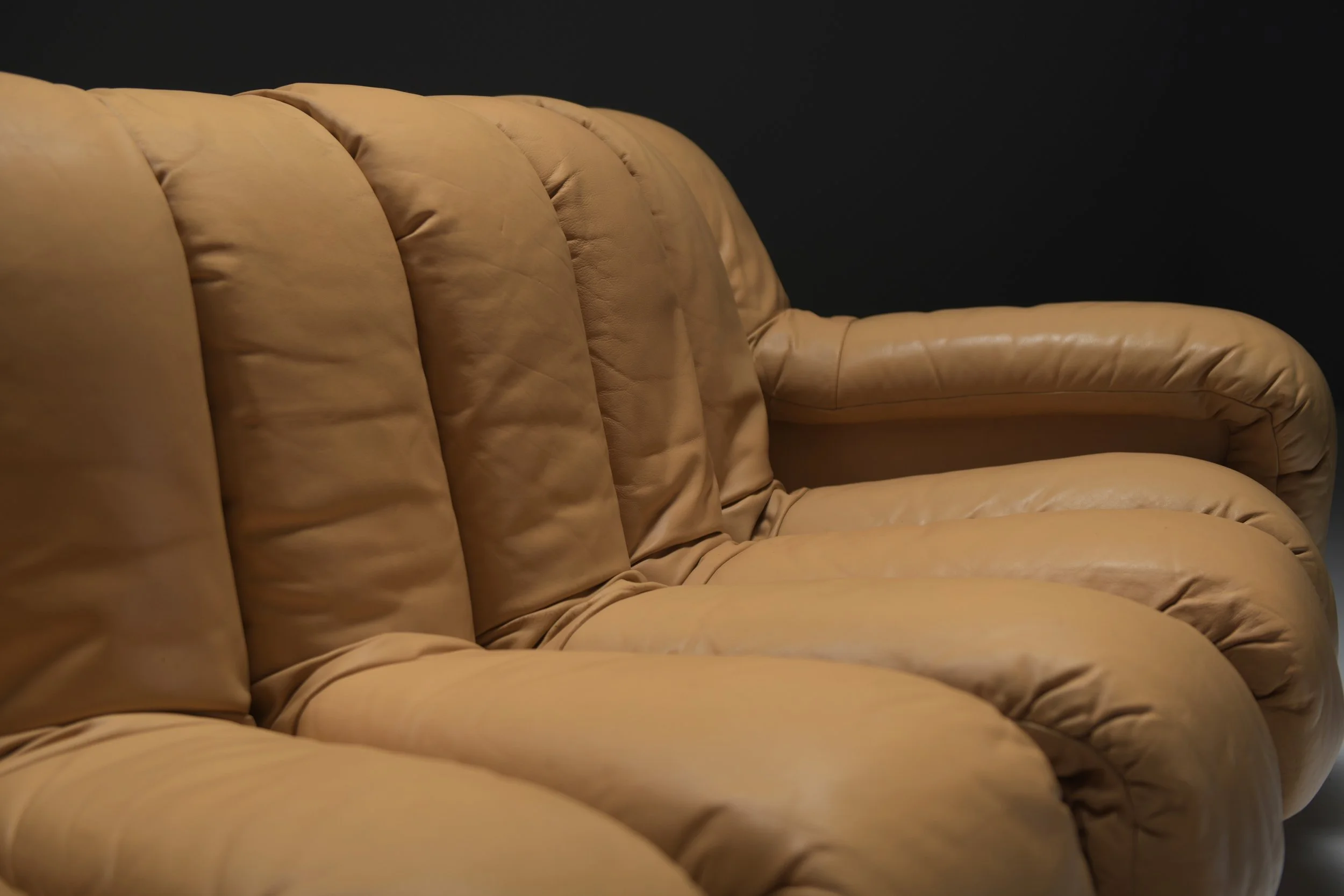 21 De Sede DS-600 Tatzelwurm Snake Sofa Modular ottoman poof Swiss Vintage 1970s Furniture Classic Ueli Berger Elenora Peduzzi-Riva Heinz Ulrich Klaus Vogt design furniture aera lab aeralab bart albrecht 1stdibs.jpg