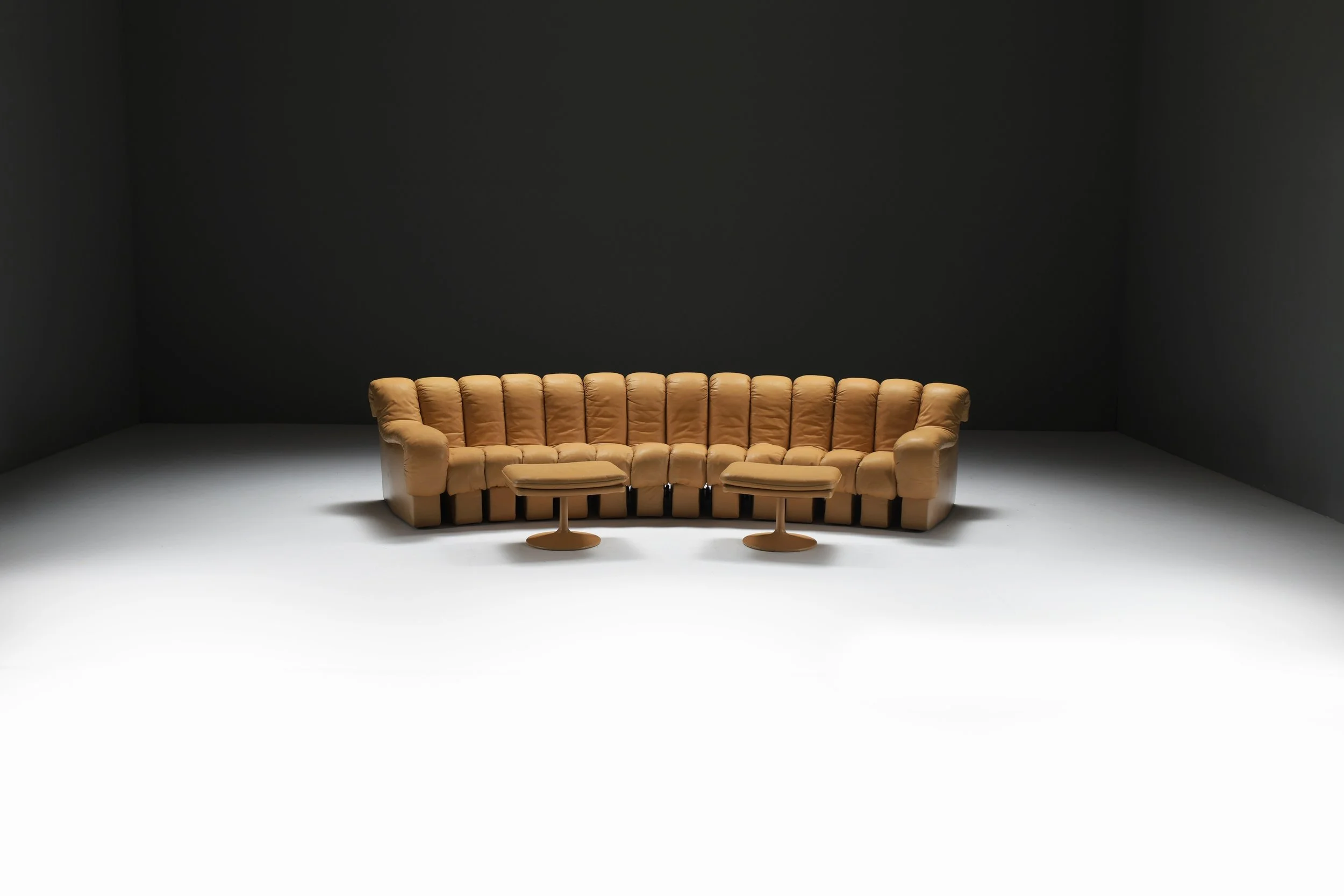 4 De Sede DS-600 Tatzelwurm Snake Sofa Modular ottoman poof Swiss Vintage 1970s Furniture Classic Ueli Berger Elenora Peduzzi-Riva Heinz Ulrich Klaus Vogt design furniture aera lab aeralab bart albrecht 1stdibs.jpg