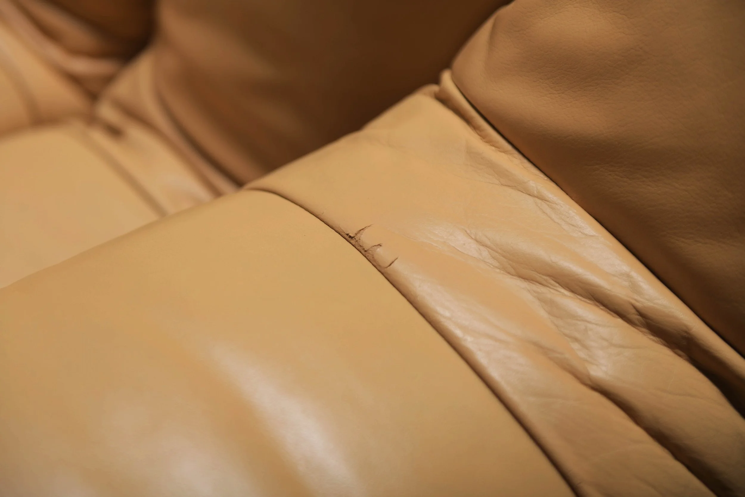 9 De Sede DS-600 Tatzelwurm Snake Sofa Modular ottoman poof Swiss Vintage 1970s Furniture Classic Ueli Berger Elenora Peduzzi-Riva Heinz Ulrich Klaus Vogt design furniture aera lab aeralab bart albrecht 1stdibs.jpg
