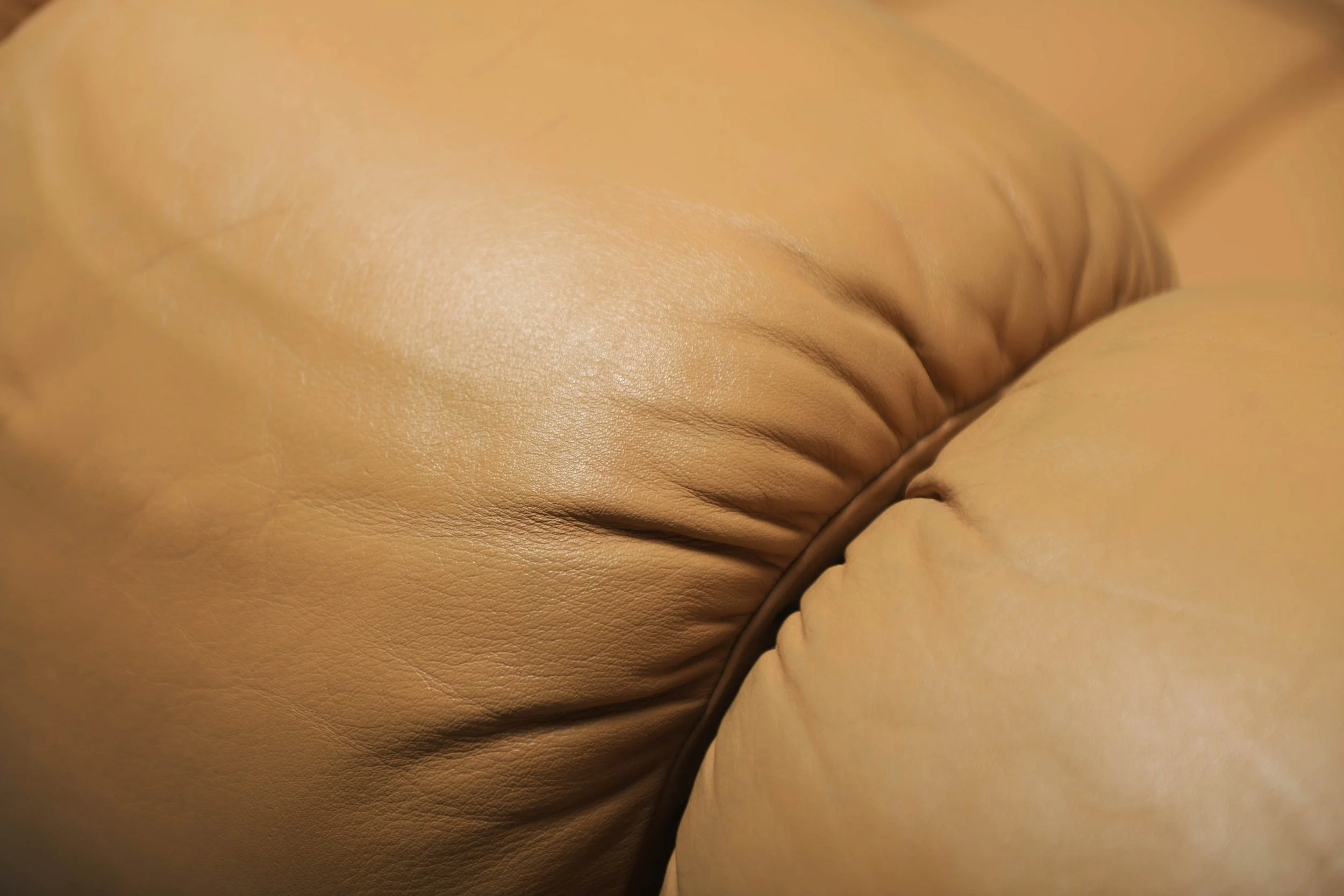13 De Sede DS-600 Tatzelwurm Snake Sofa Modular ottoman poof Swiss Vintage 1970s Furniture Classic Ueli Berger Elenora Peduzzi-Riva Heinz Ulrich Klaus Vogt design furniture aera lab aeralab bart albrecht 1stdibs.jpg