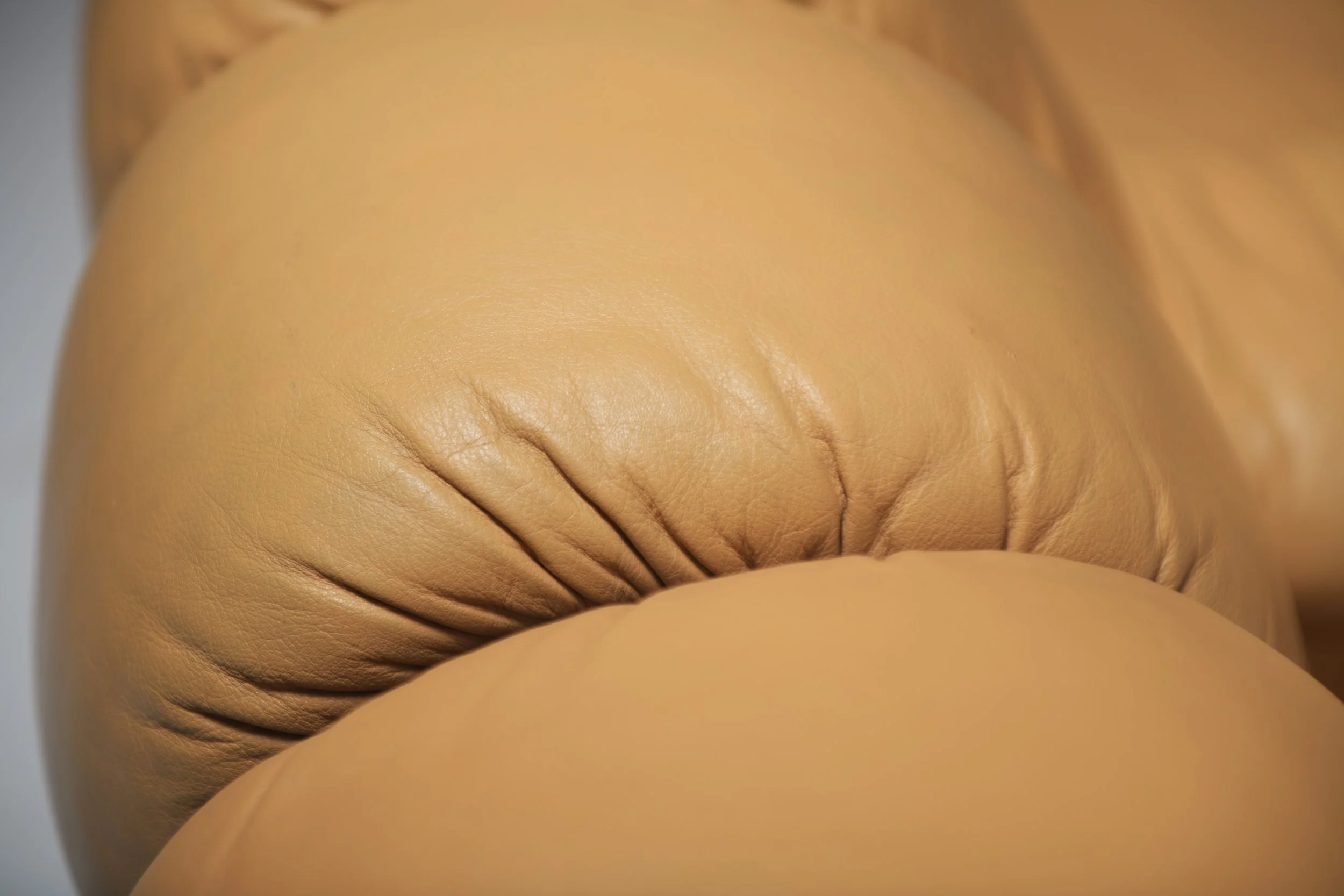 7 De Sede DS-600 Tatzelwurm Snake Sofa Modular ottoman poof Swiss Vintage 1970s Furniture Classic Ueli Berger Elenora Peduzzi-Riva Heinz Ulrich Klaus Vogt design furniture aera lab aeralab bart albrecht 1stdibs.jpg