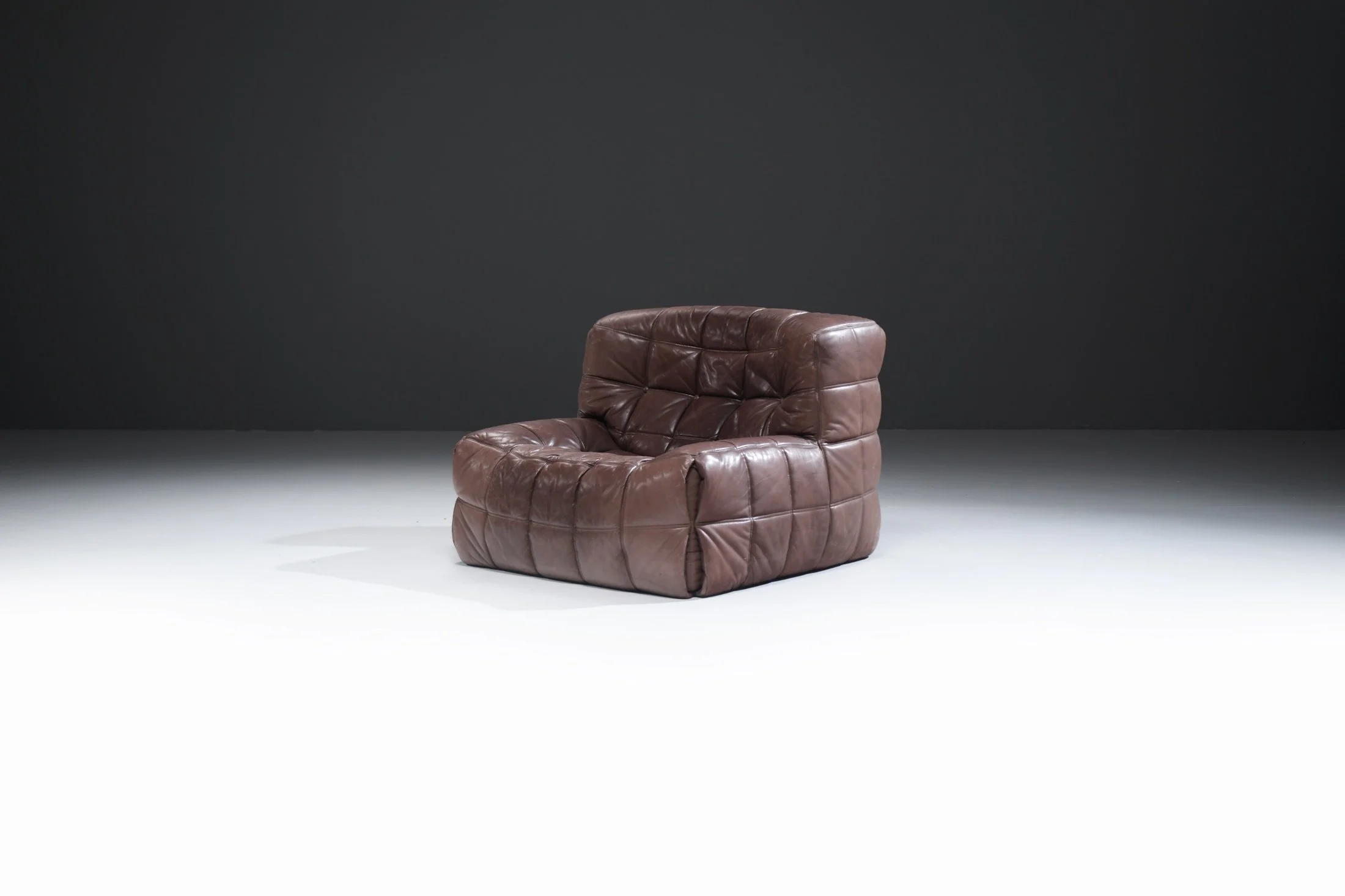 1 kashima ligne roset michel ducaroy lounge chair natural leather patina togo yoko aralia vintage design furniture aera lab aeralab albrecht 1stdibs.jpg