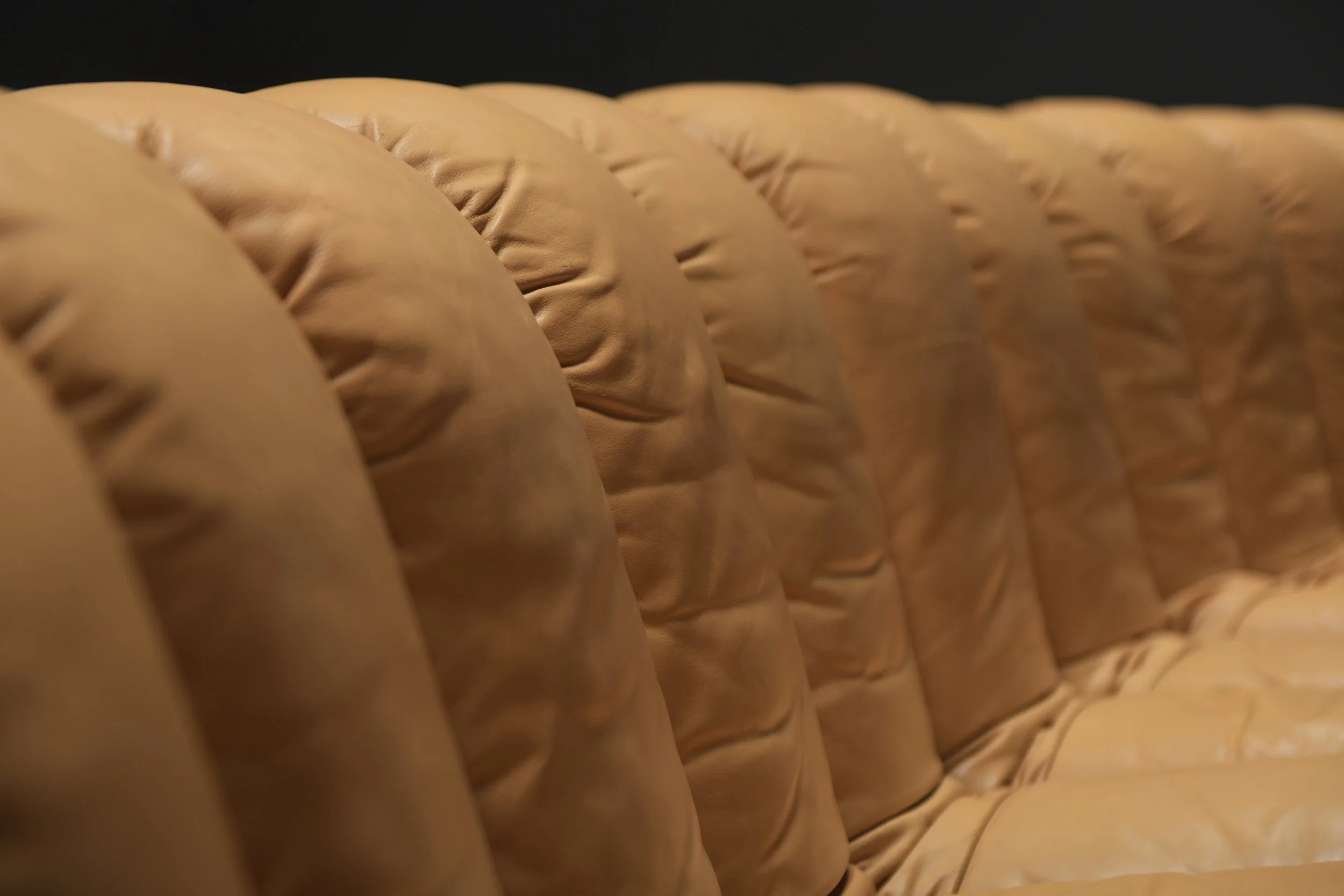 10 De Sede DS-600 Tatzelwurm Snake Sofa Modular ottoman poof Swiss Vintage 1970s Furniture Classic Ueli Berger Elenora Peduzzi-Riva Heinz Ulrich Klaus Vogt design furniture aera lab aeralab bart albrecht 1stdibs.jpg